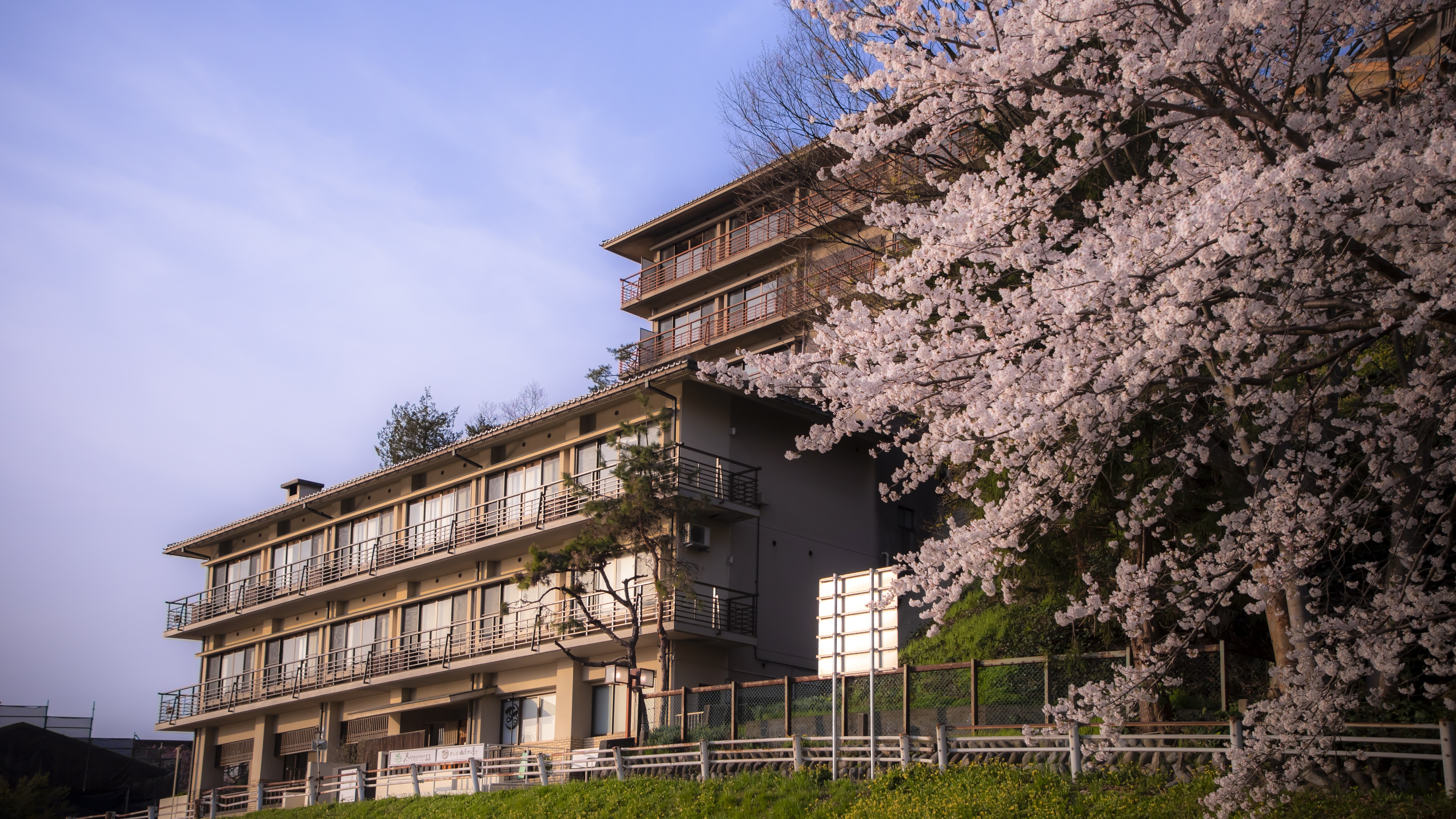 [Exterior] Spring in Kanazawa is beautiful with cherry blossoms. From the end of March to early April, you can enjoy the cherry blossoms while walking along the Sai River that flows in front of the hotel...