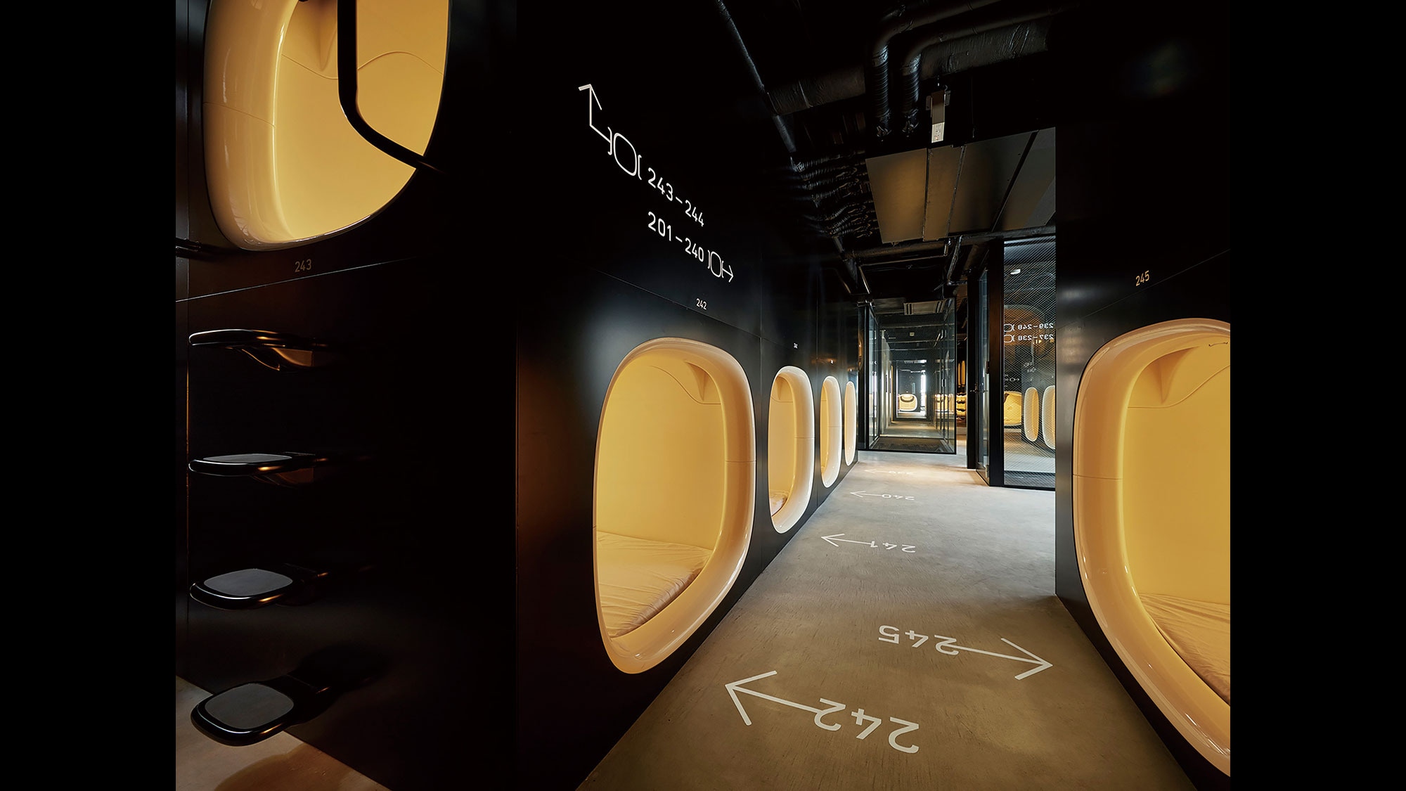 Capsule area