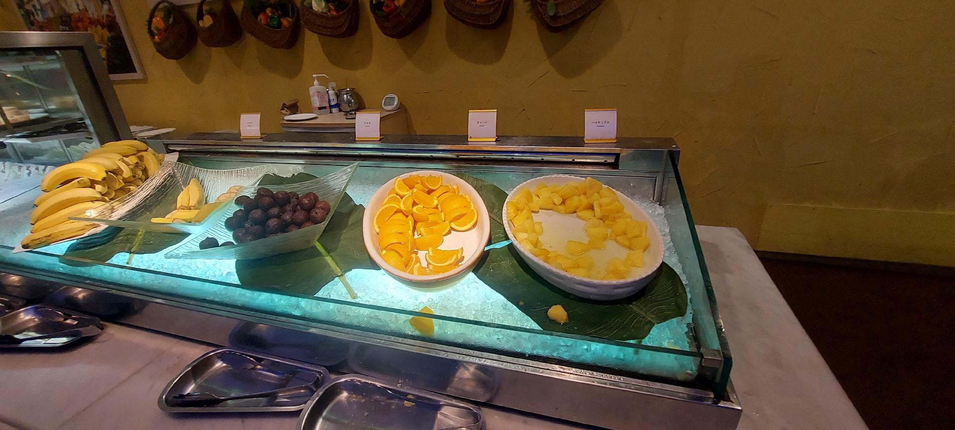 20260619_084553[1].jpg