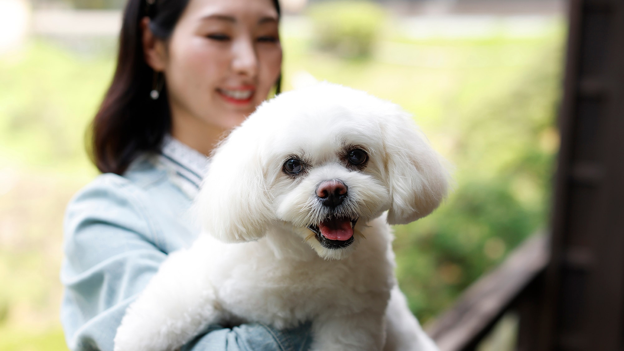 ห้องพักใหม่ที่อนุญาตให้นำสุนัขเข้าพักได้ (ภาพที่พัก)