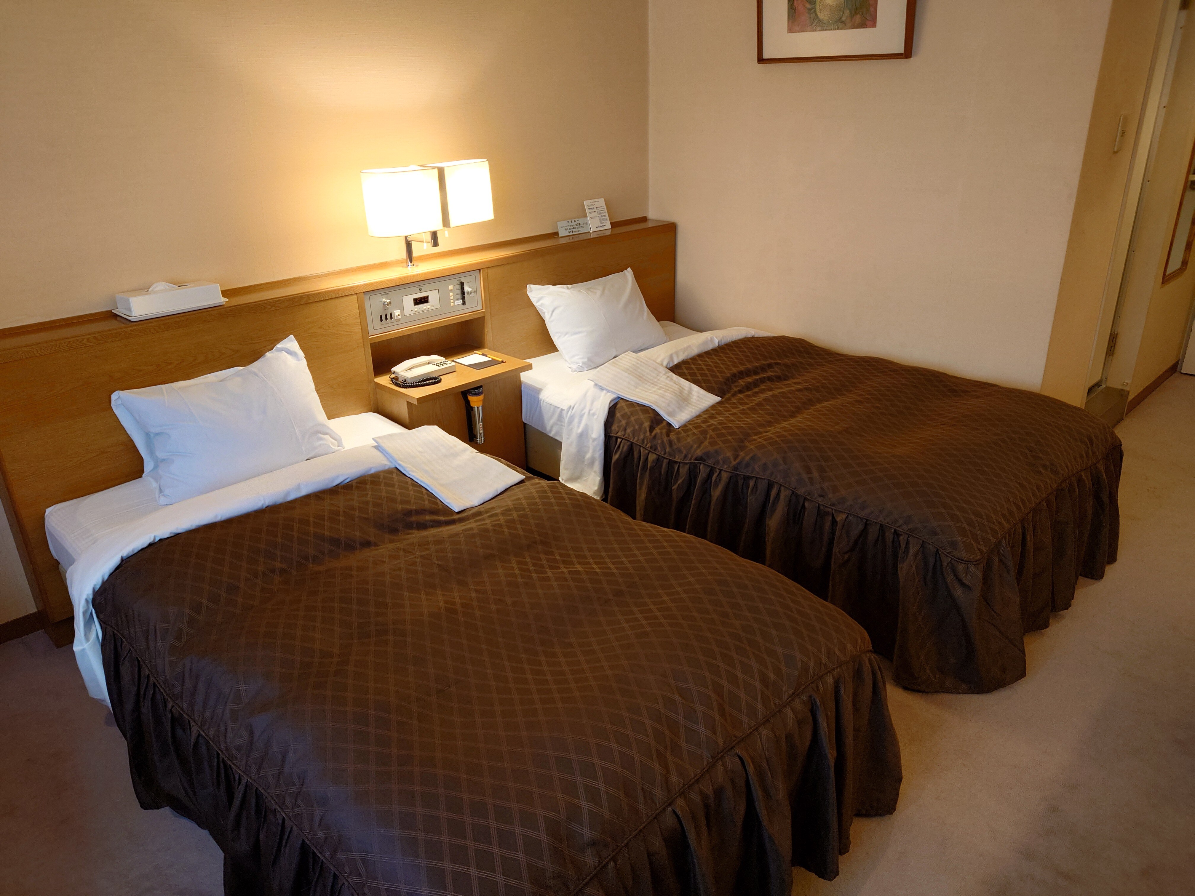 This is a picture of a standard twin room.