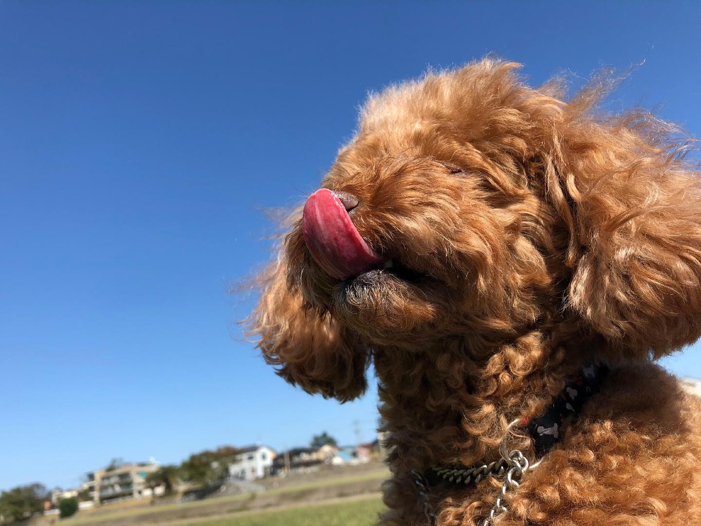 profile