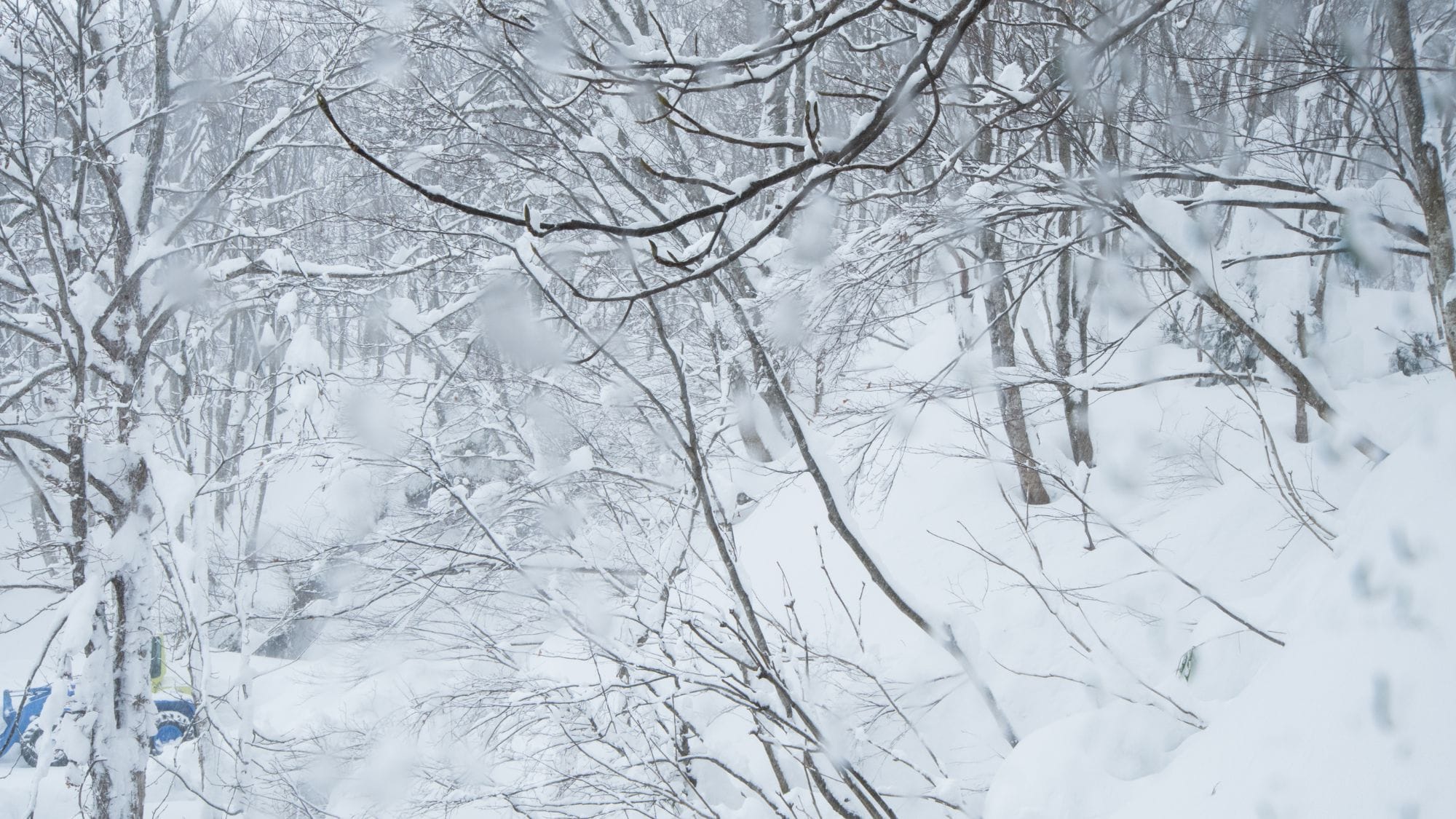 [ภายนอก/ฤดูหนาว]