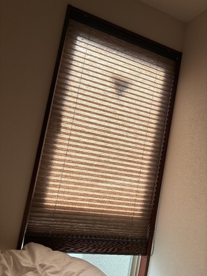 IMG_3313.jpeg