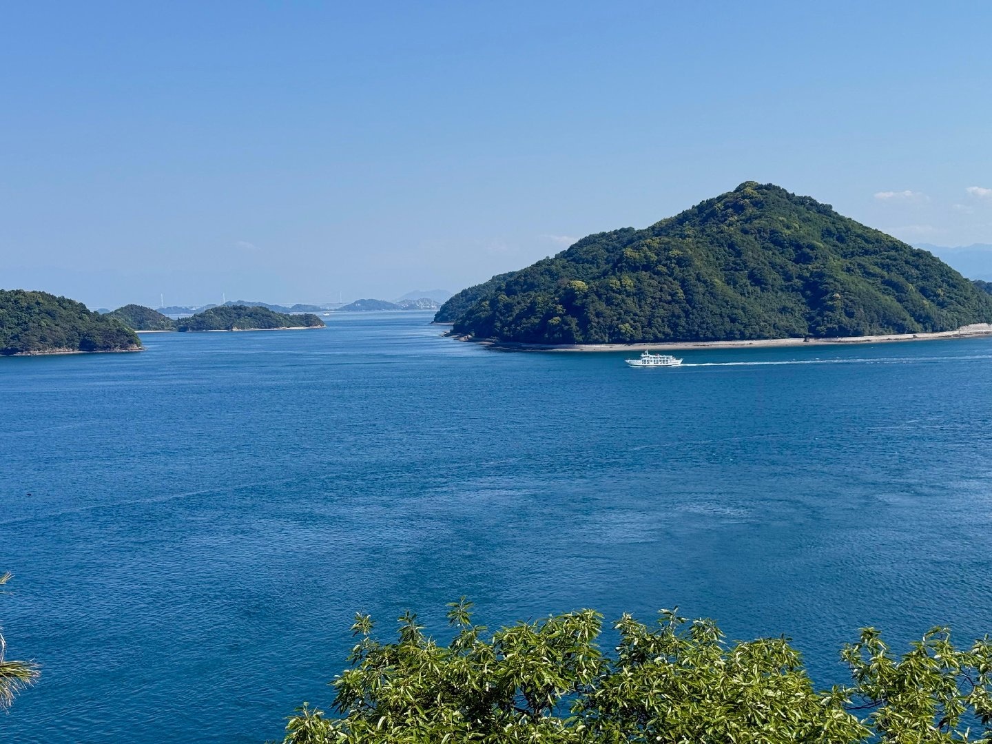 EE42FE0E-99A3-4884-9607-74724C98AFE8.jpeg