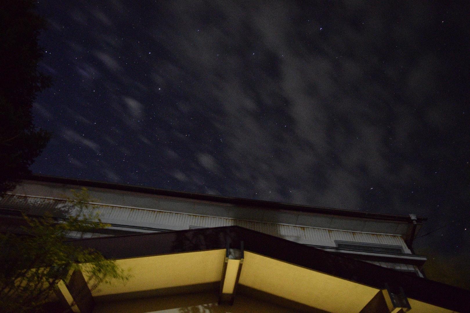 DSC_2441.JPG