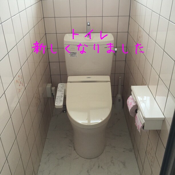 Toilet Remodeling