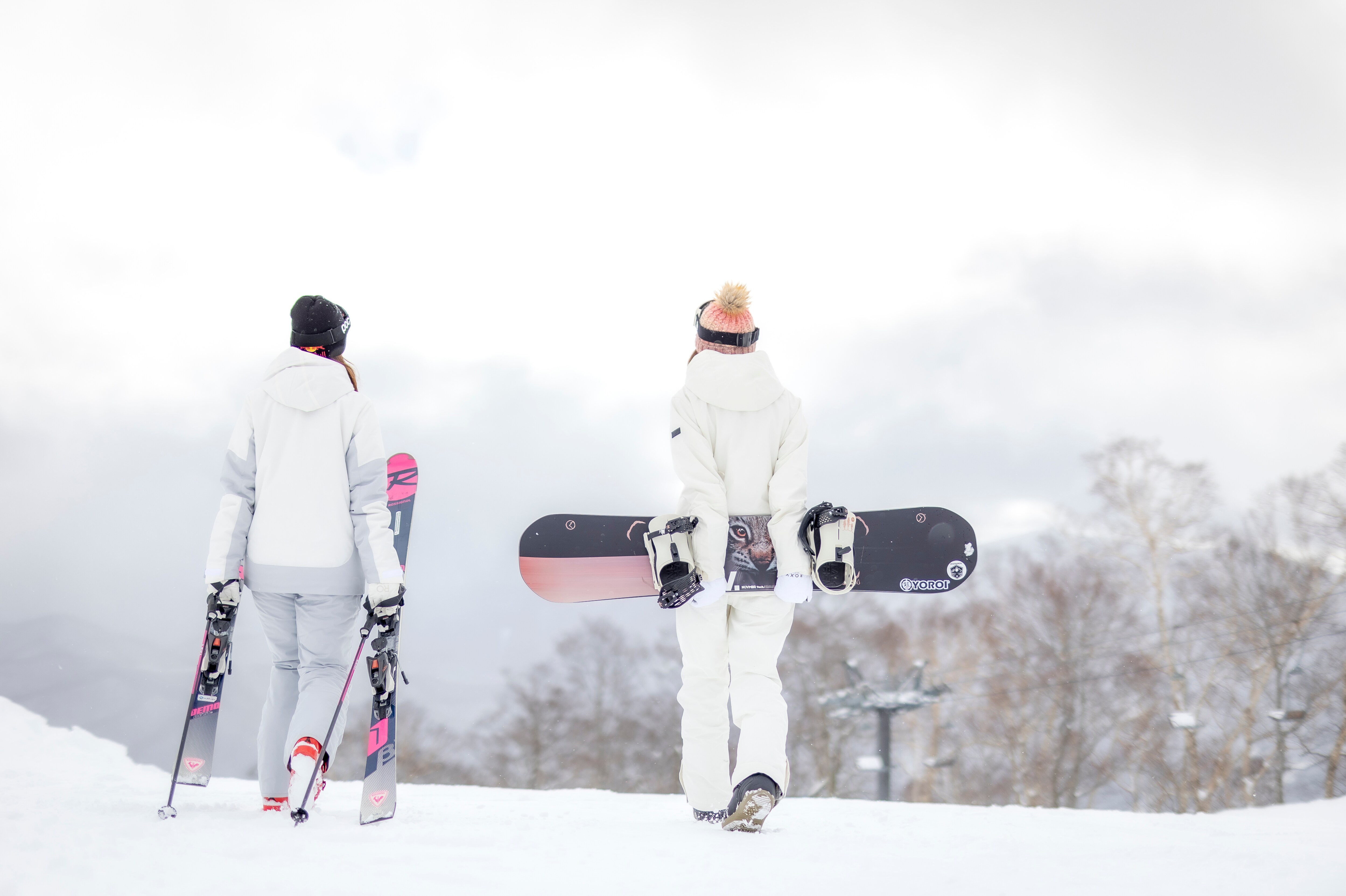 Main ski image