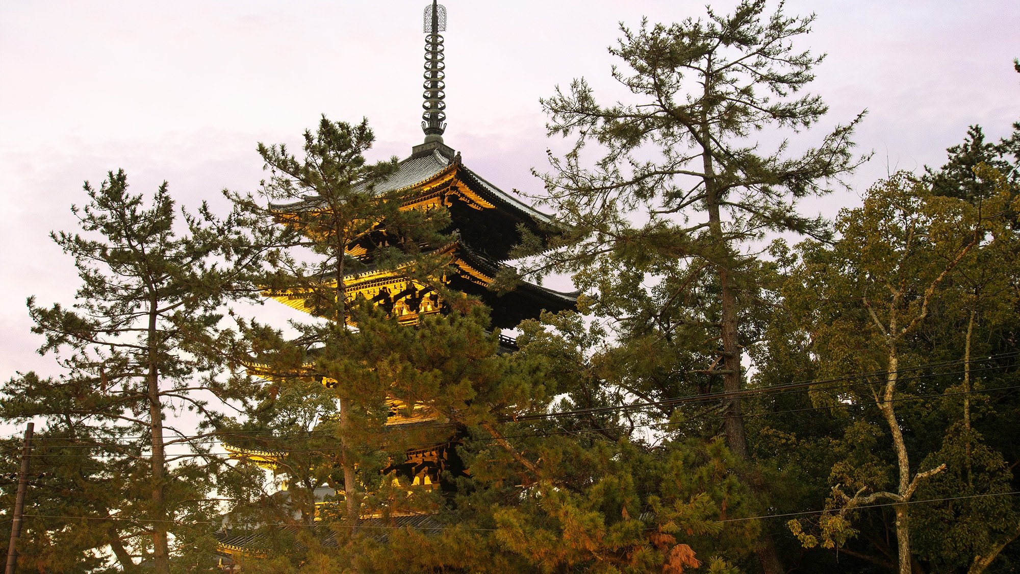 *[View from the Japanese-style room overlooking the five-story pagoda] A delightful room where you can see the five-story pagoda of Kofuku-ji Temple from the window.