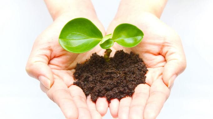 ECO