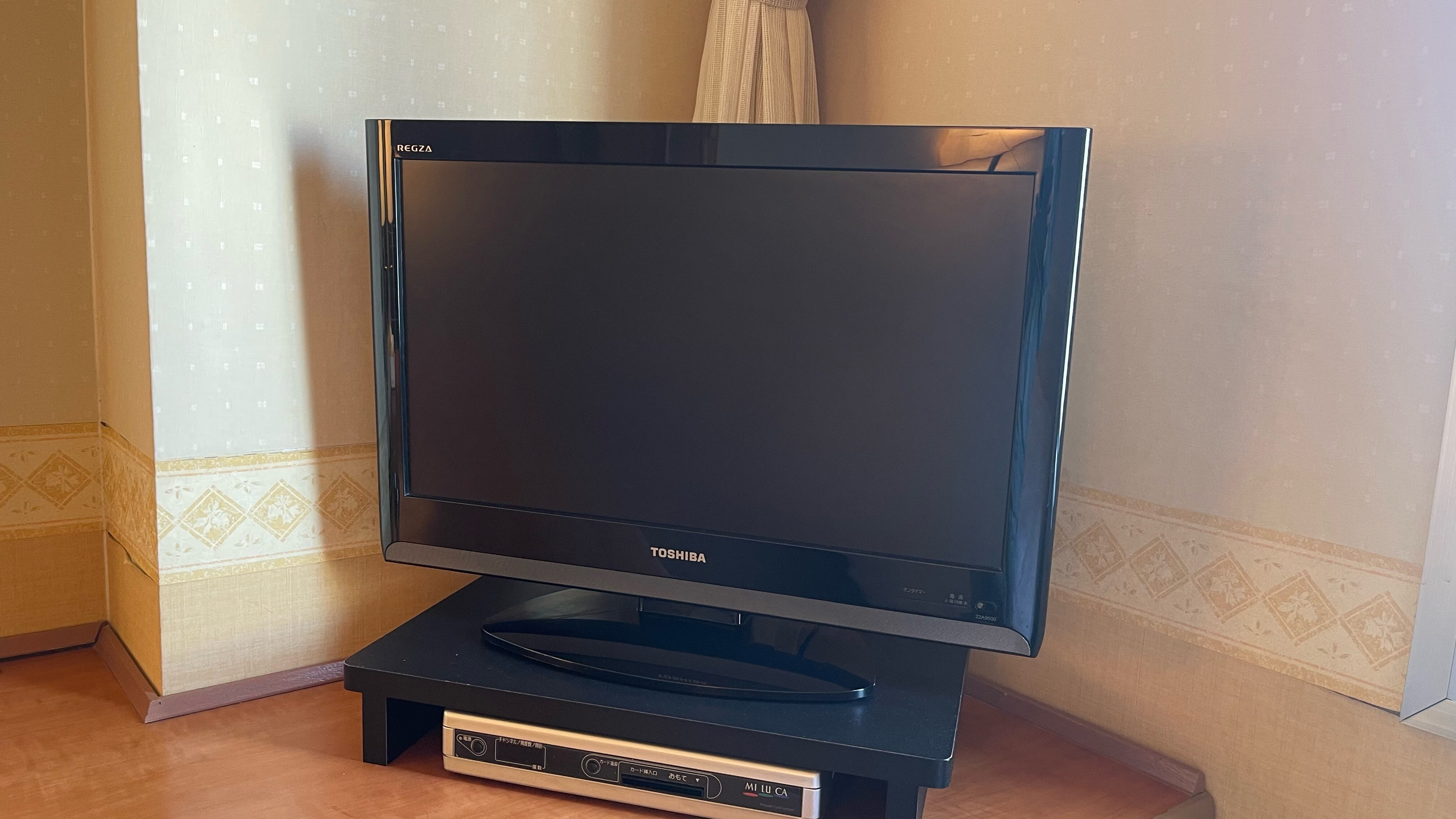 Guest room TV (single/semi-double/double)