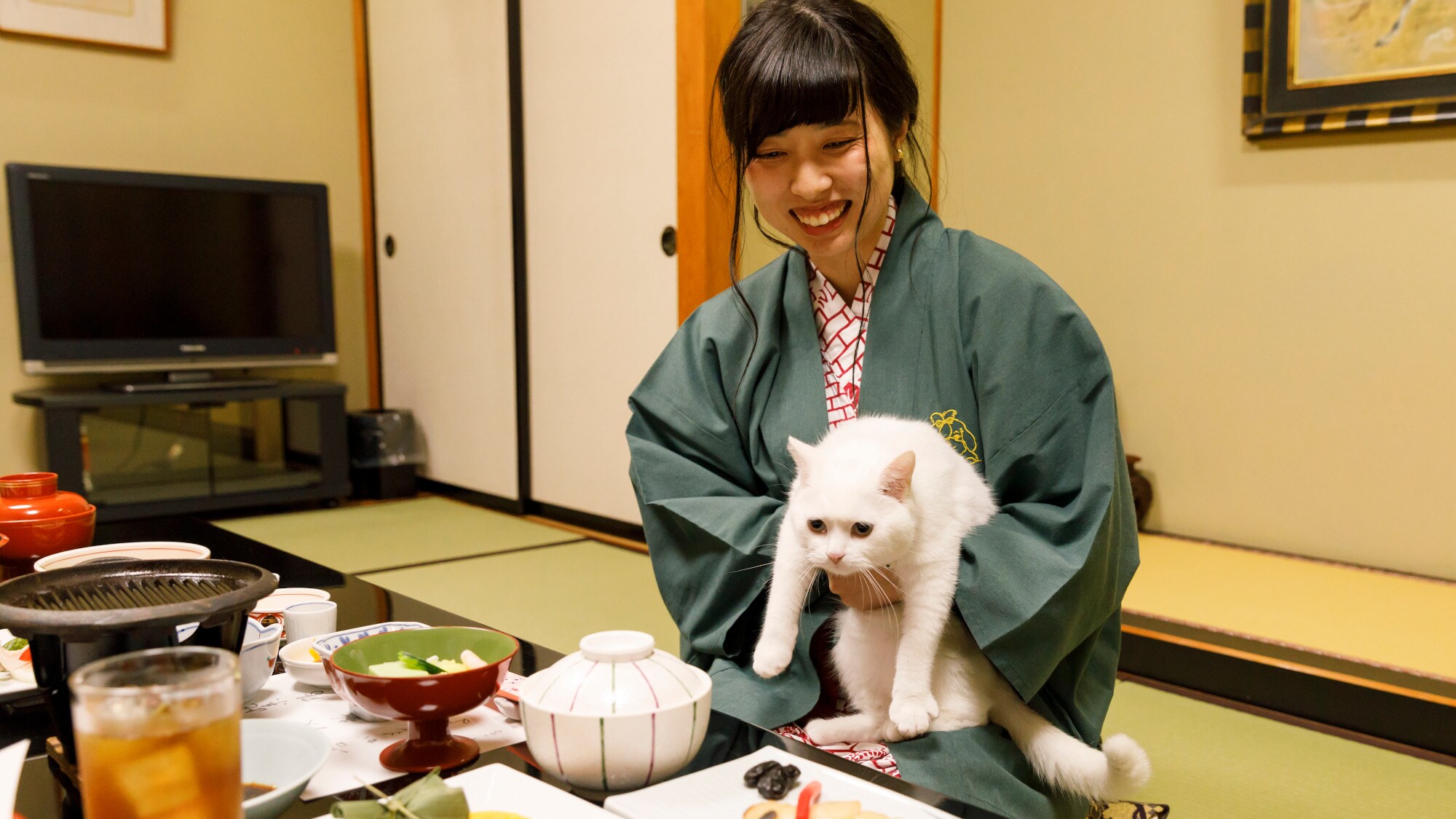 [Custom meals for pets]
