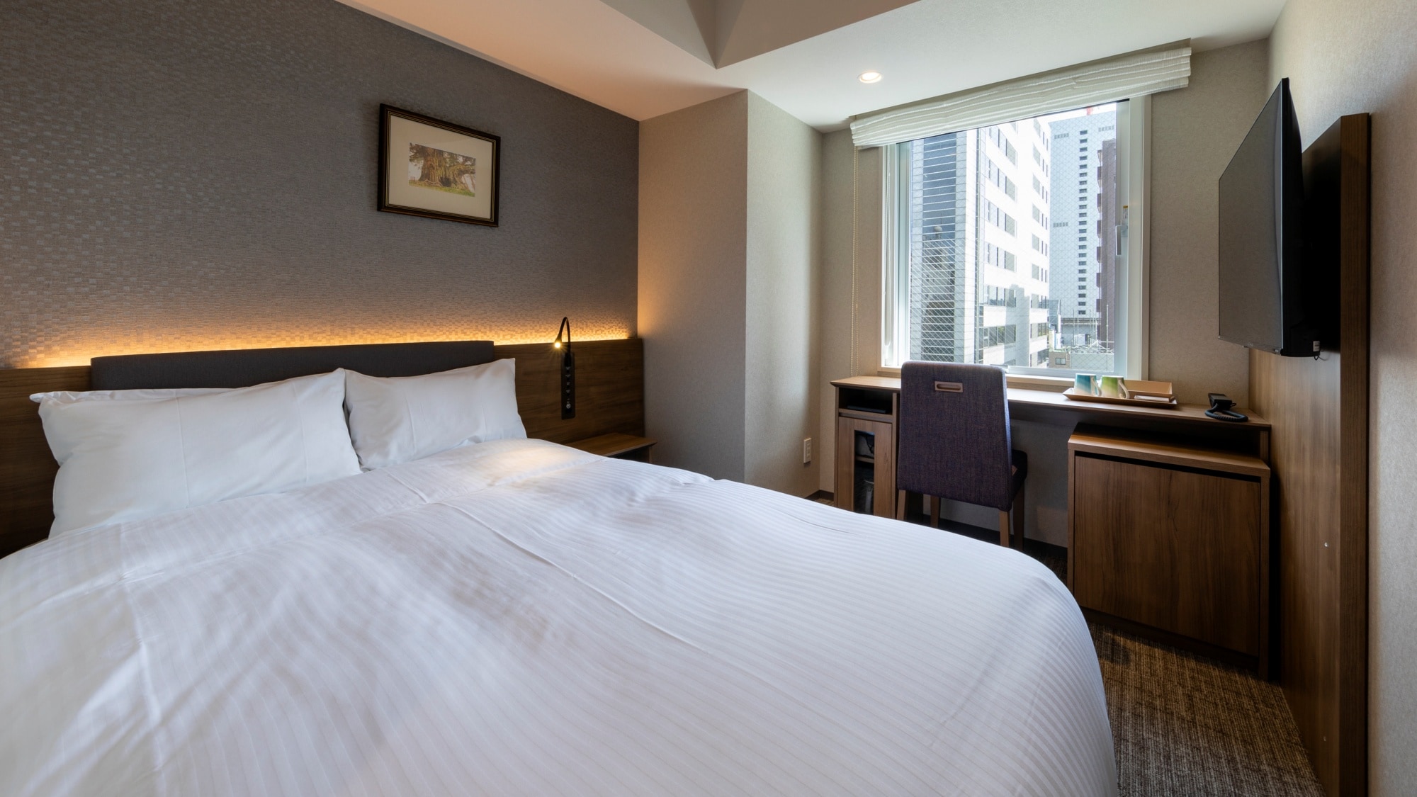 Comfort Single Room