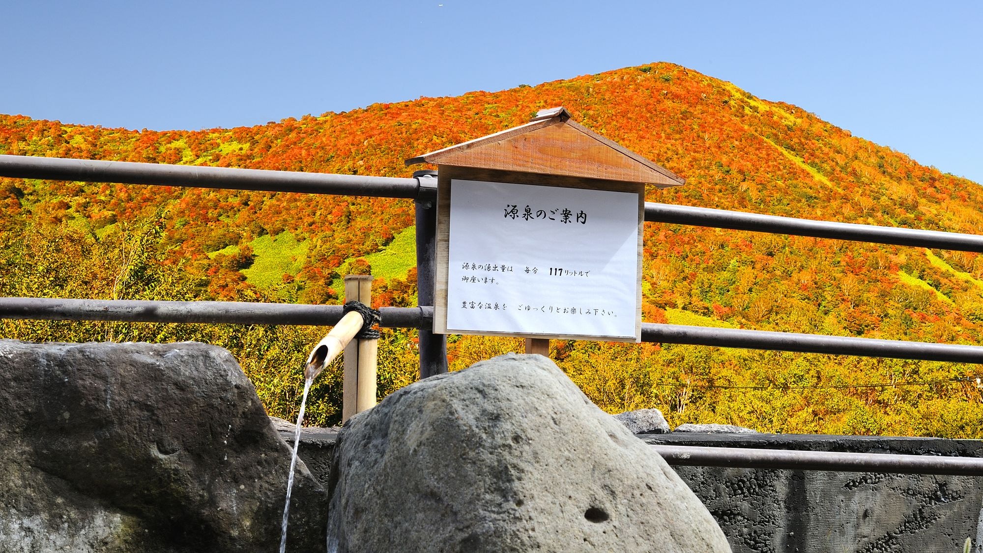 有關來源的信息