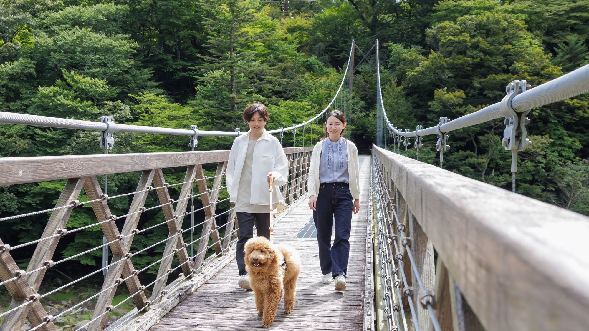 There are plenty of spots around the hotel where you can spend time with your dog!