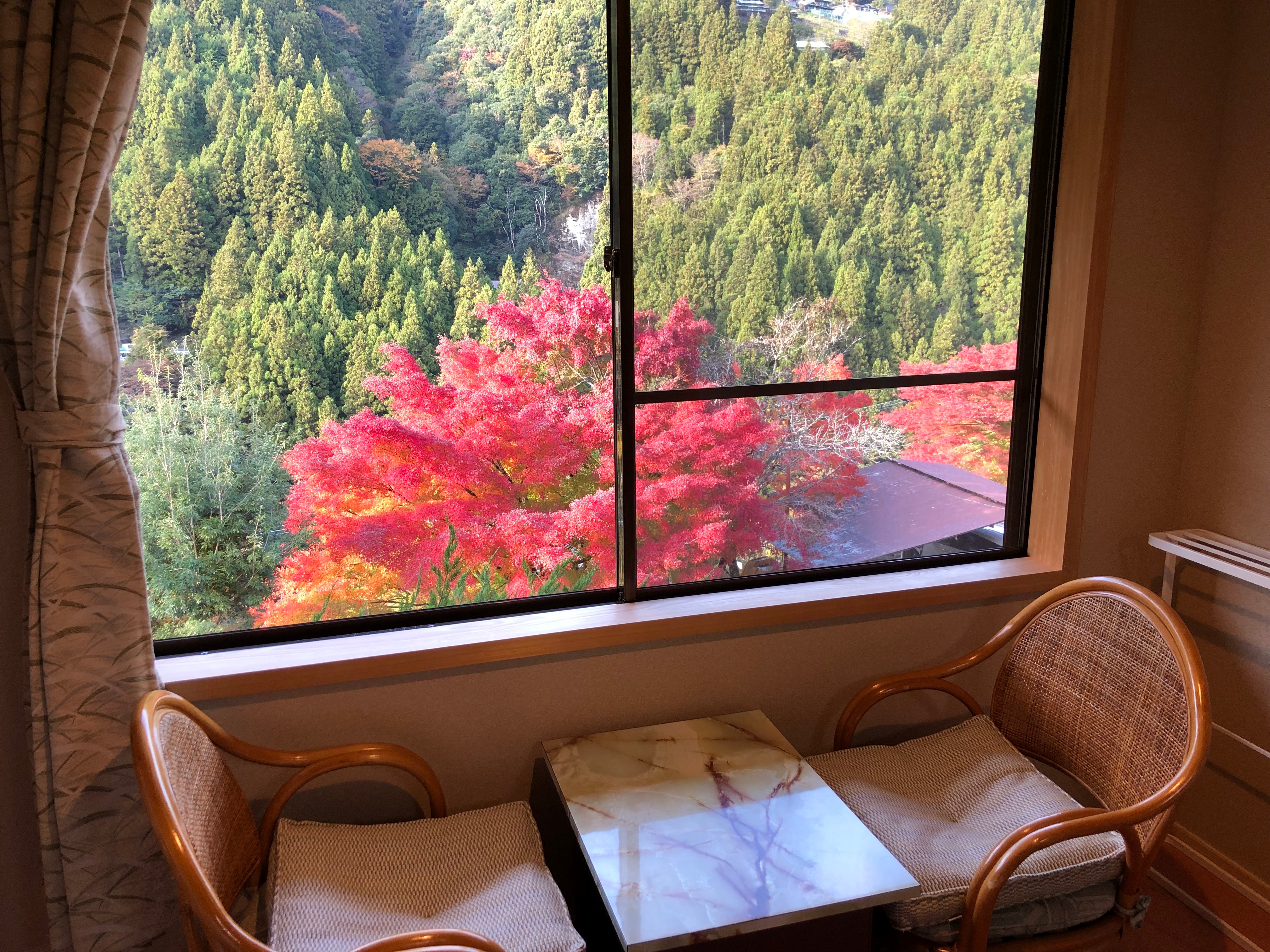8-tatami Japanese-style room with a view bath