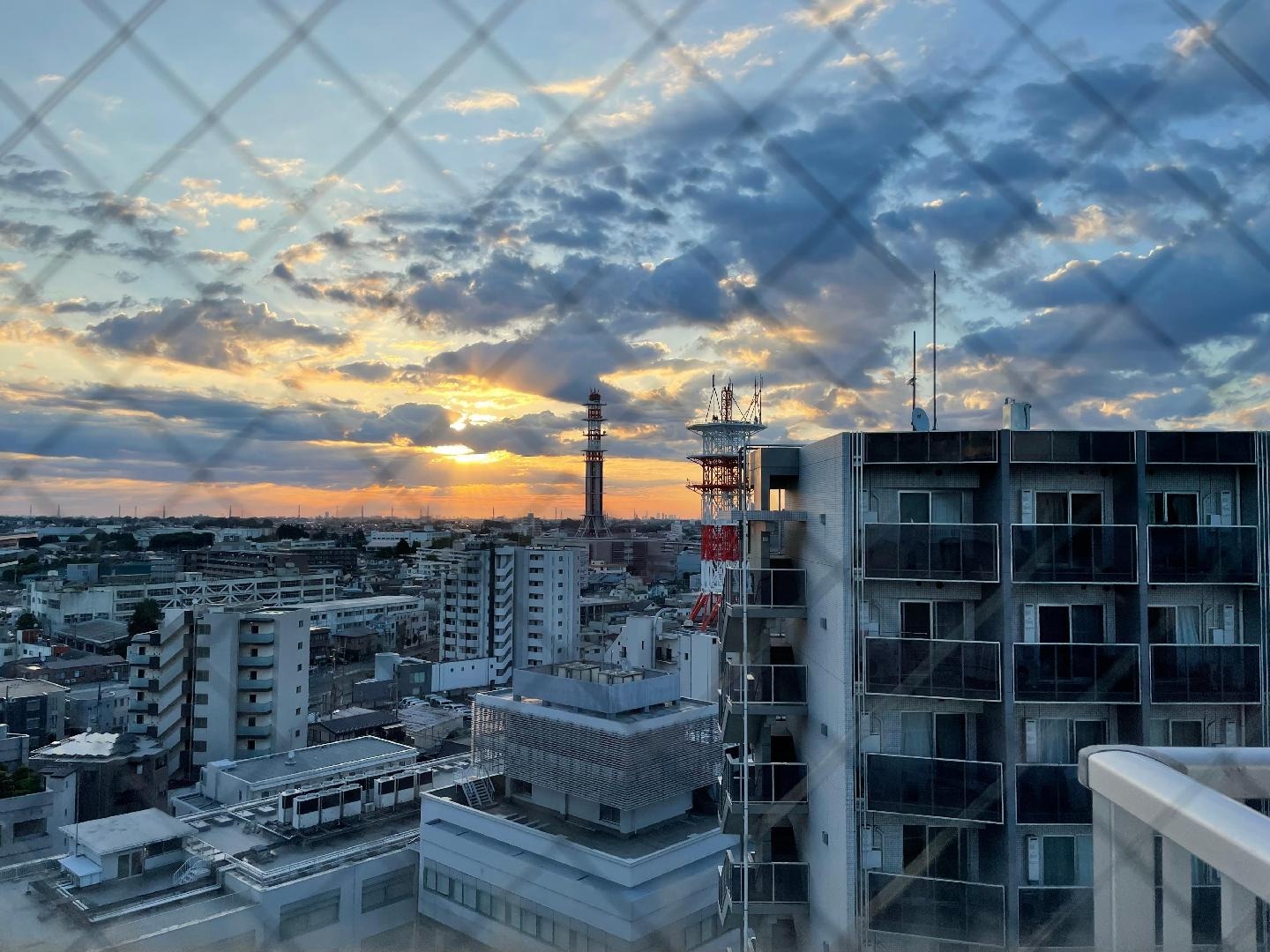 IMG_4349.jpeg