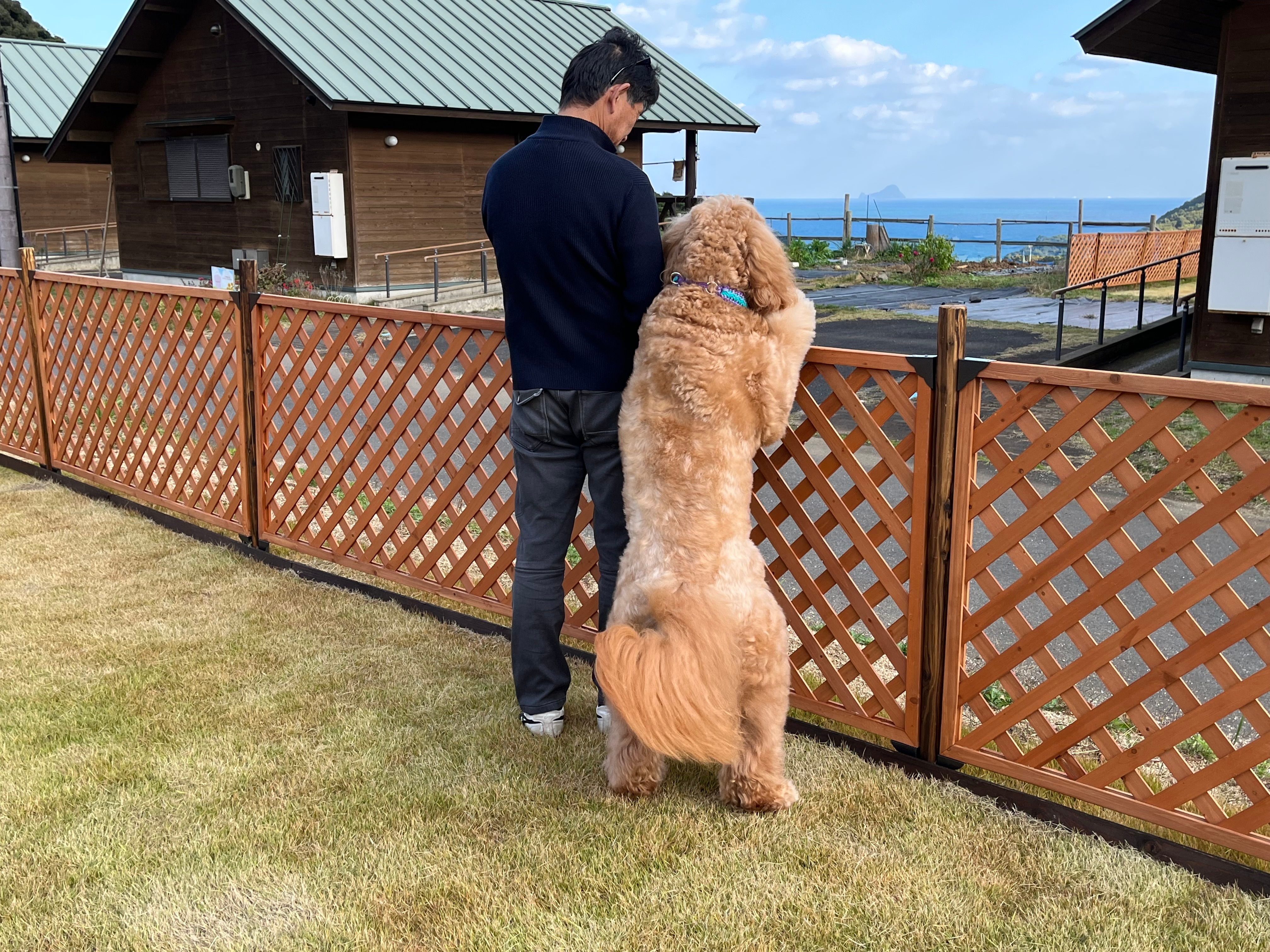 กระท่อมสำหรับสุนัข - วิวทะเล