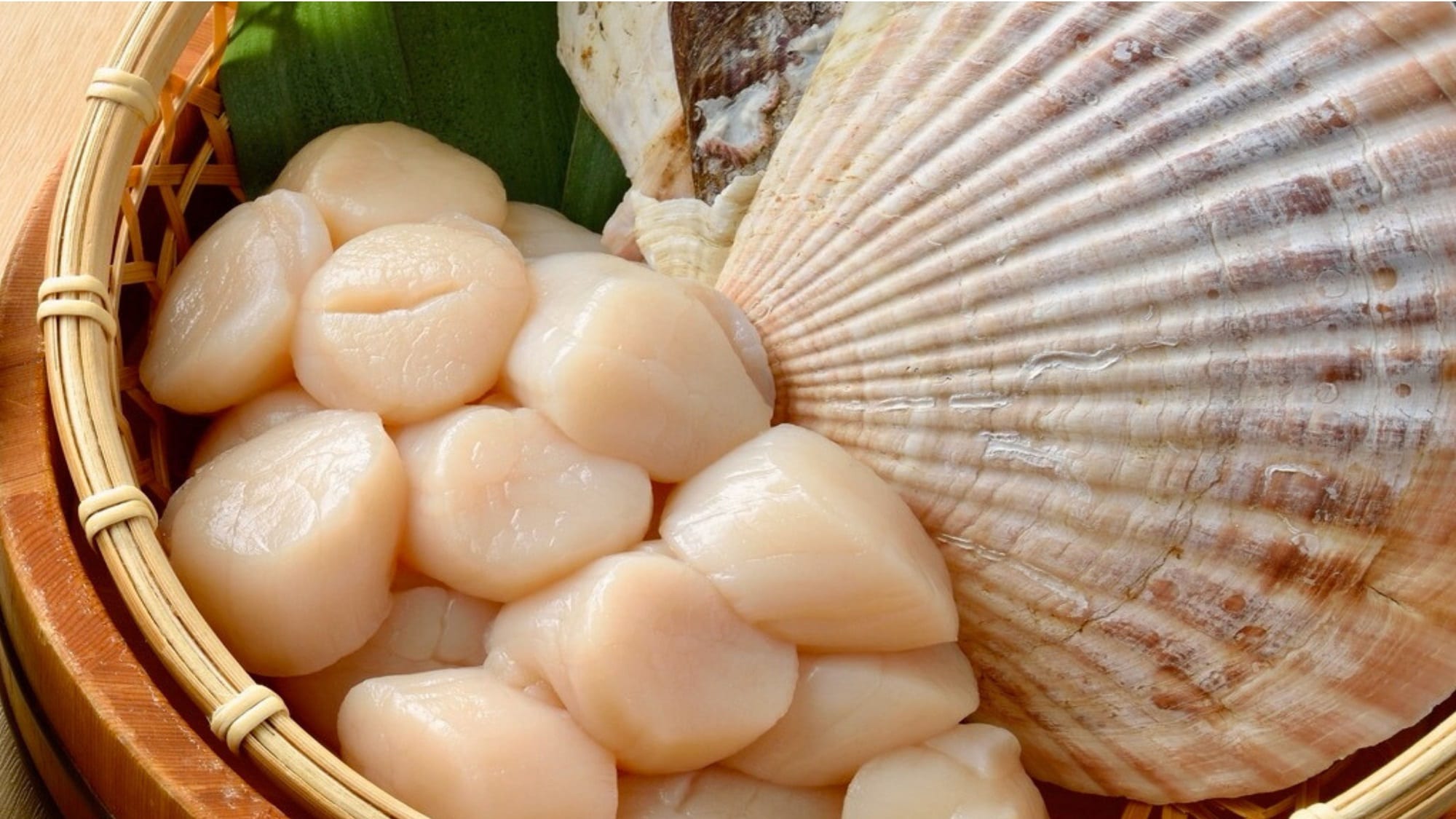 Hokkaido scallops
