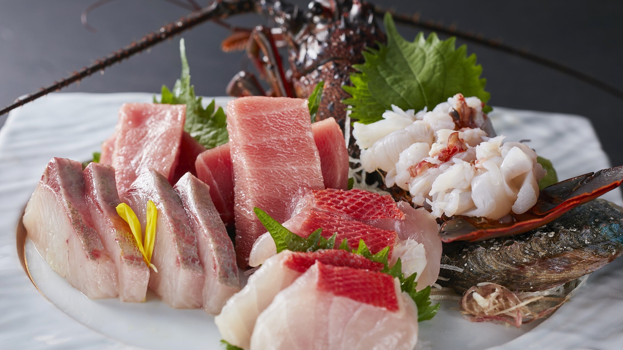 Menu Kaiseki Spesial (Musim Gugur 2026) - Sashimi
