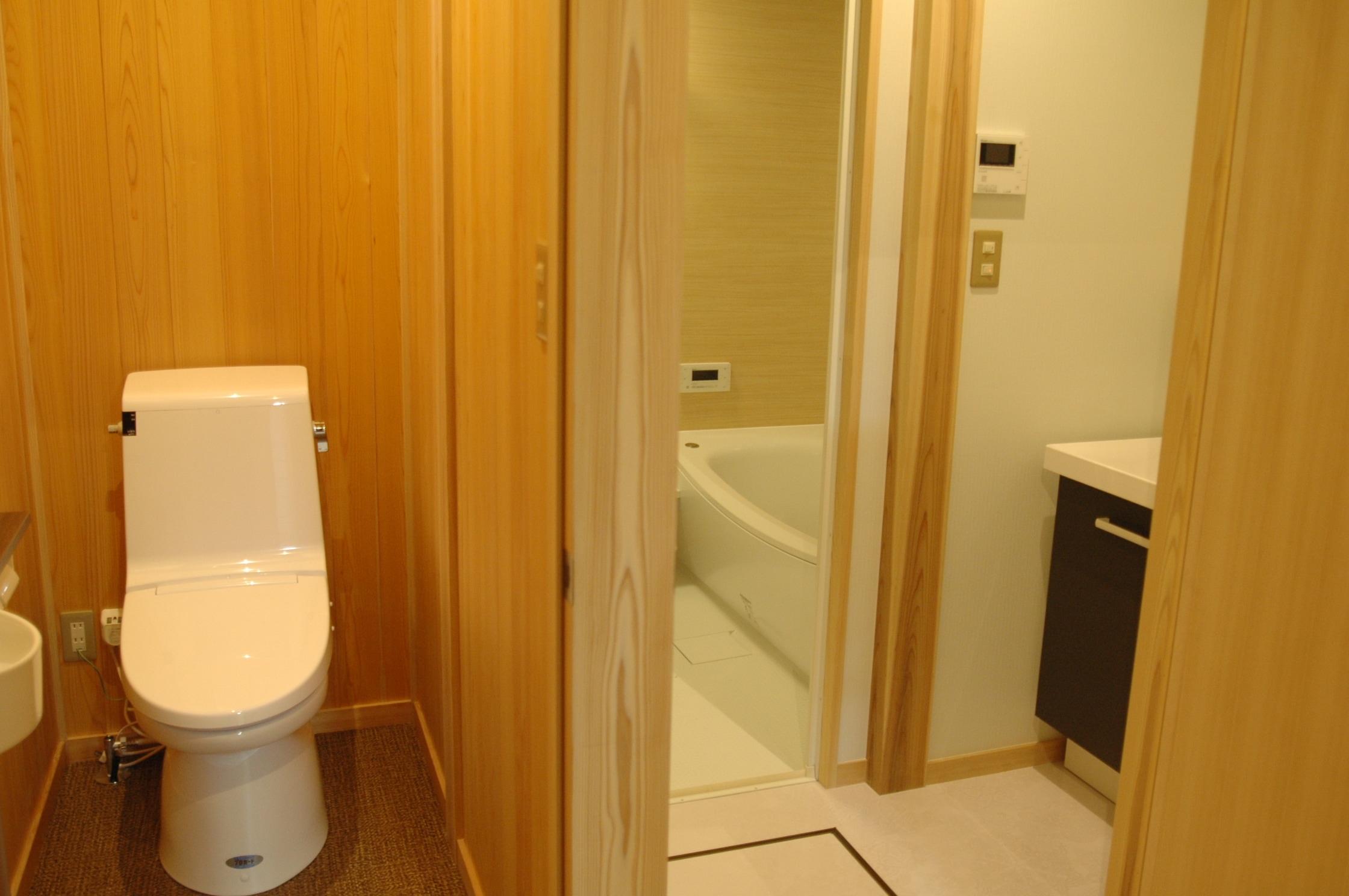 Annex/Special room (bathroom + washroom + toilet)