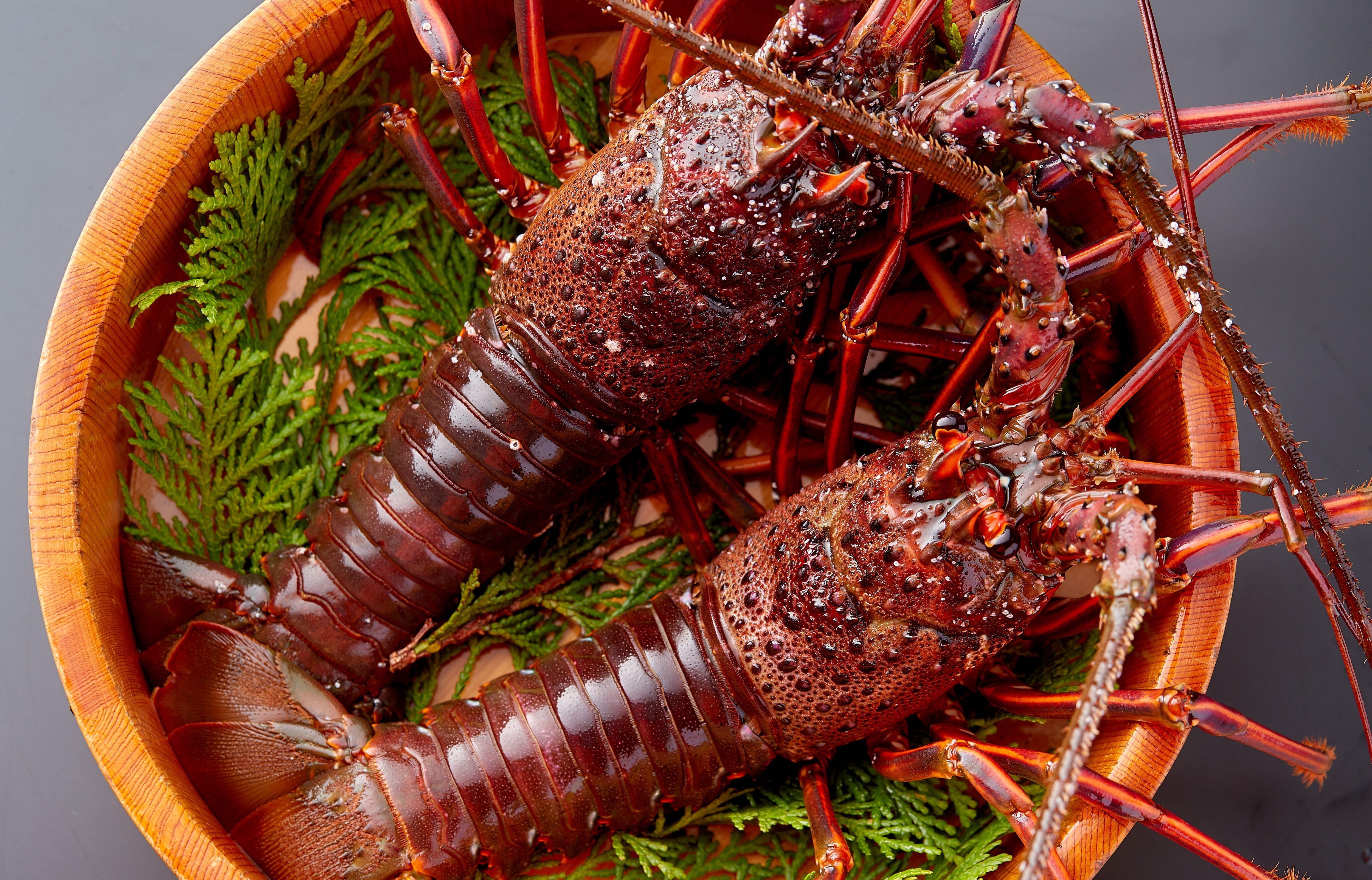 Ise lobster, a specialty of Ise-Shima