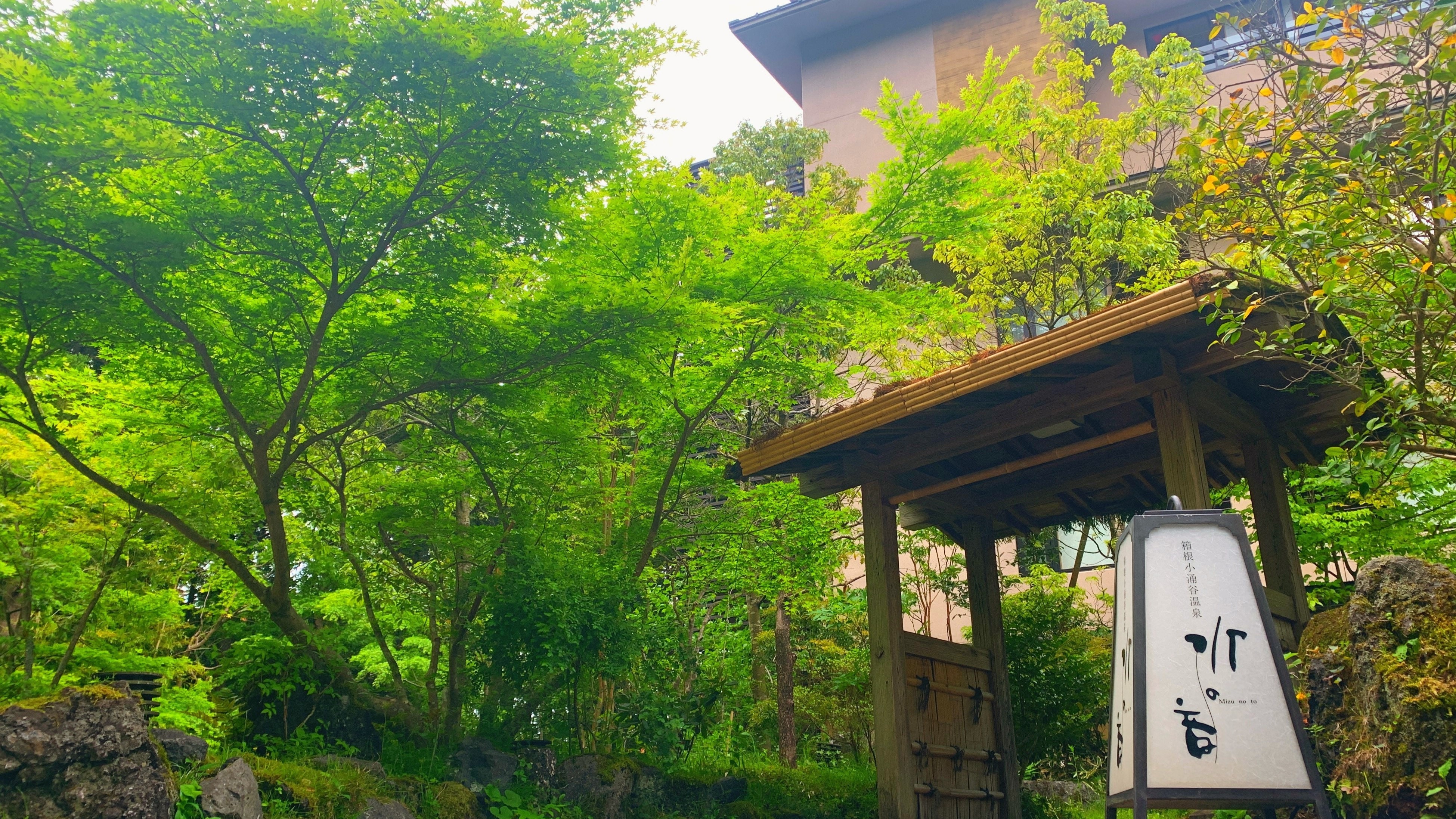 [Appearance] Mori-no-Yu inn surrounded by lush green trees