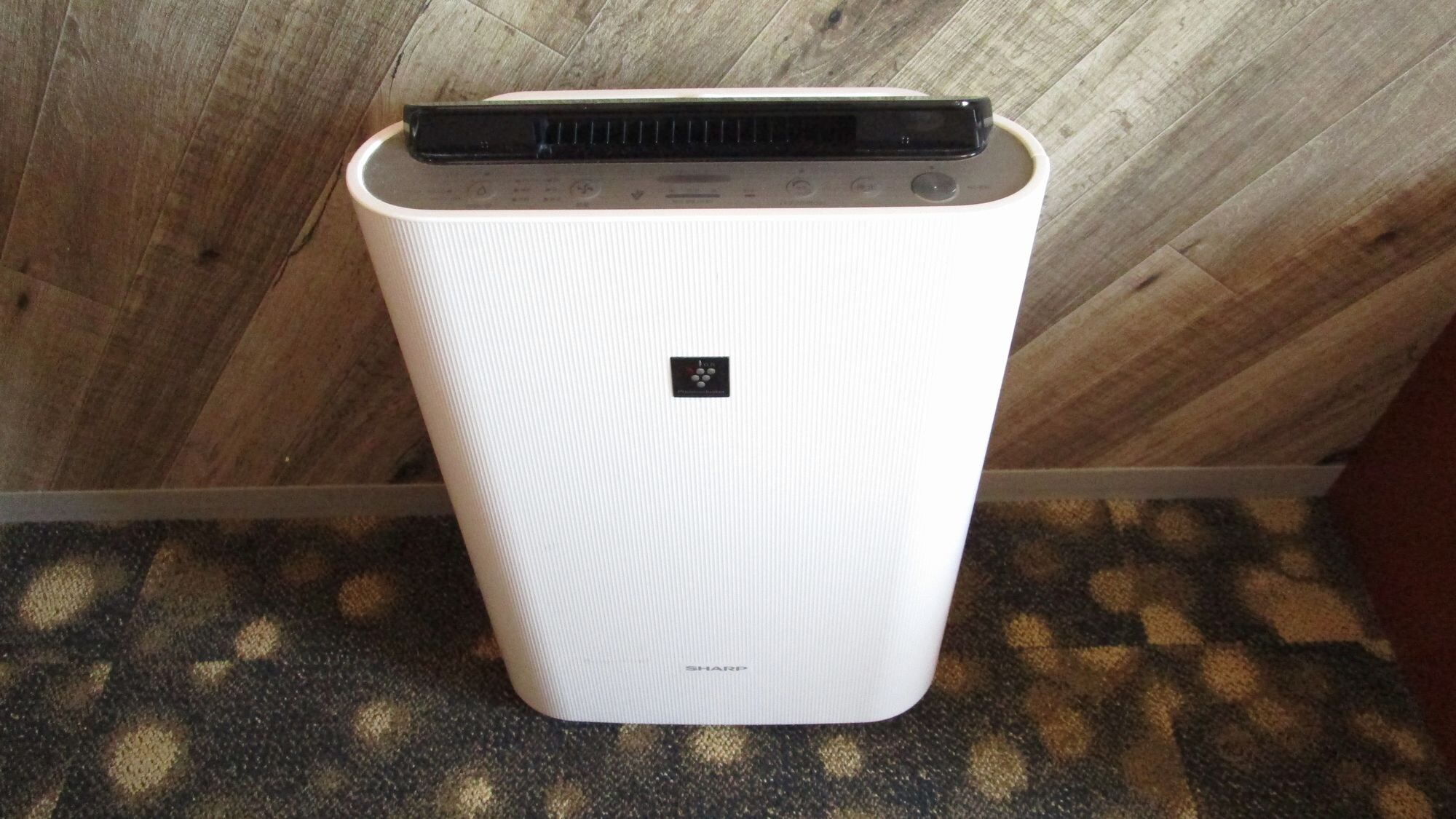 Equipped with an air purifying humidifier