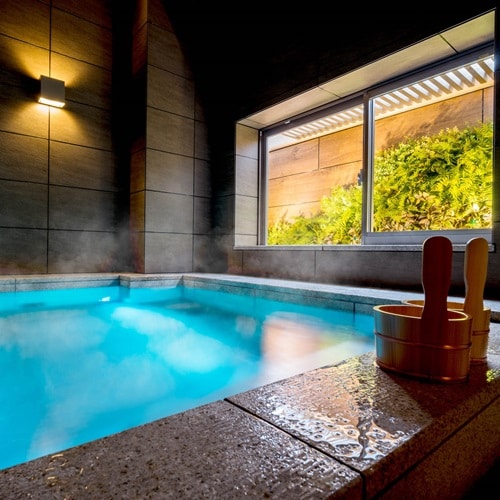 Tokugawa Falconry Baths