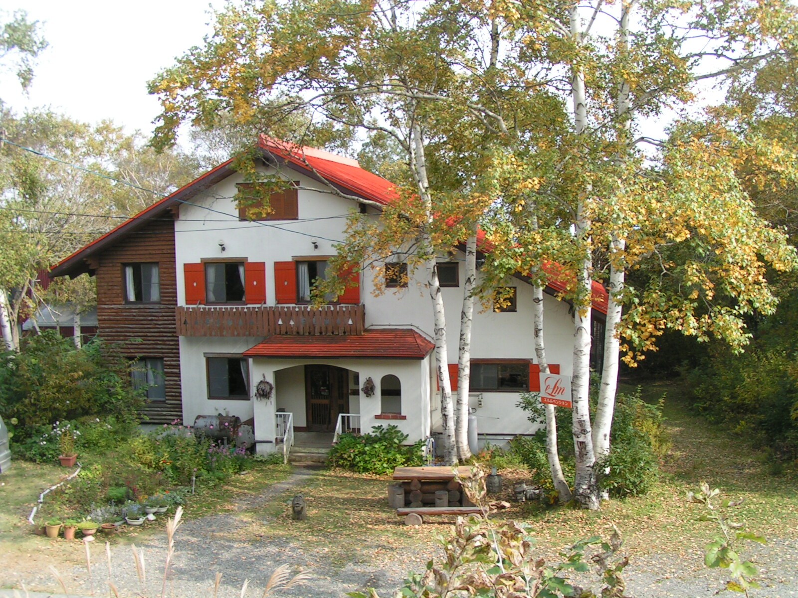 Musim Gugur Madarao Elm P