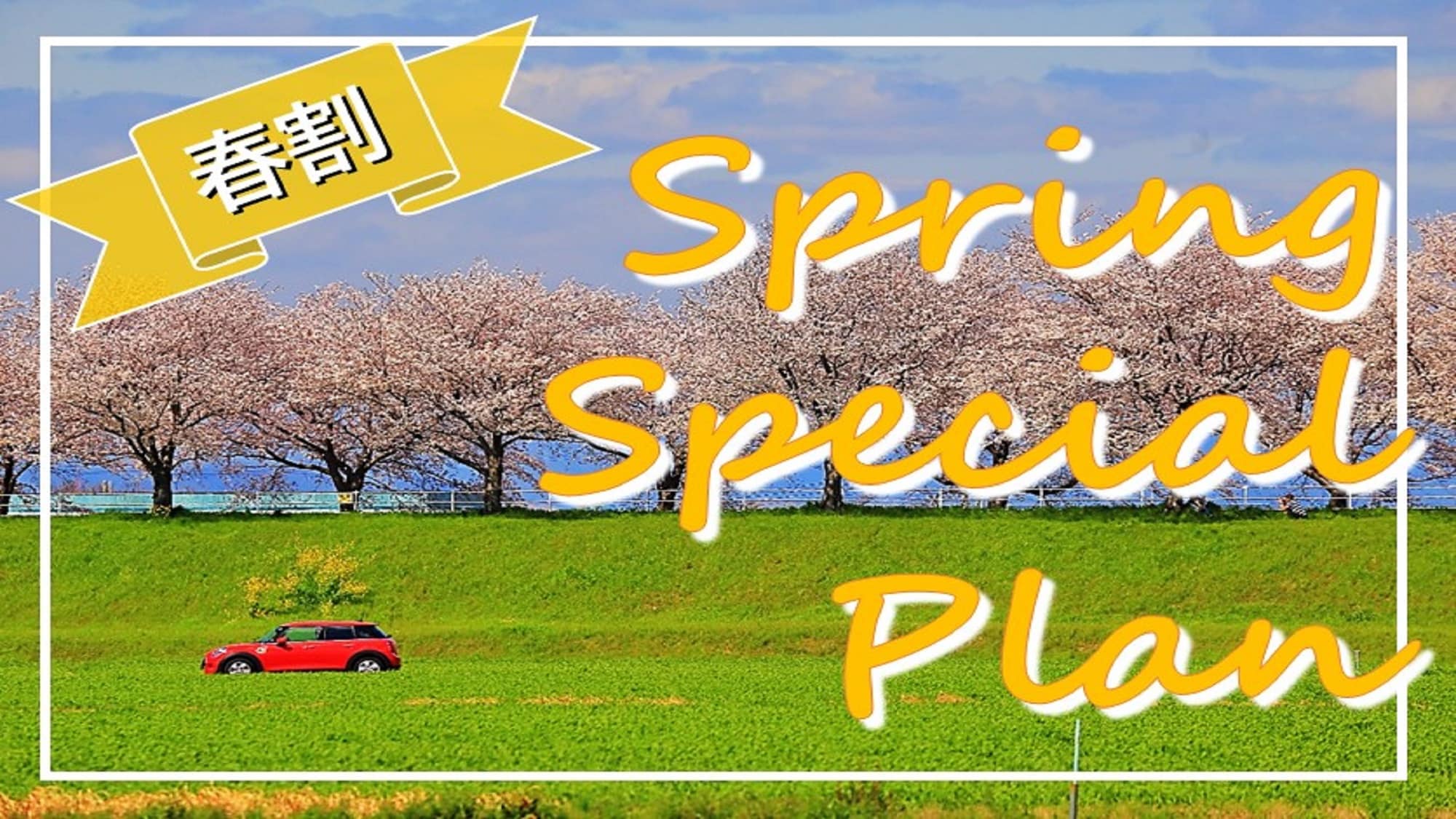 Spring Special Price Plan