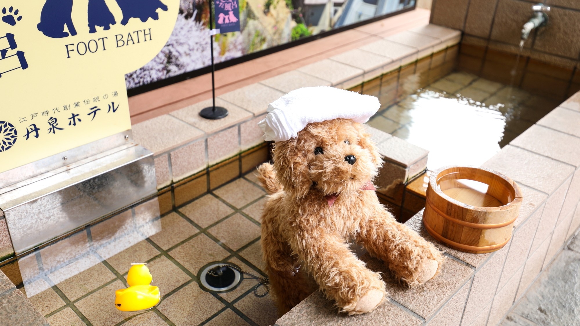 [Other] Foot bath for dogs