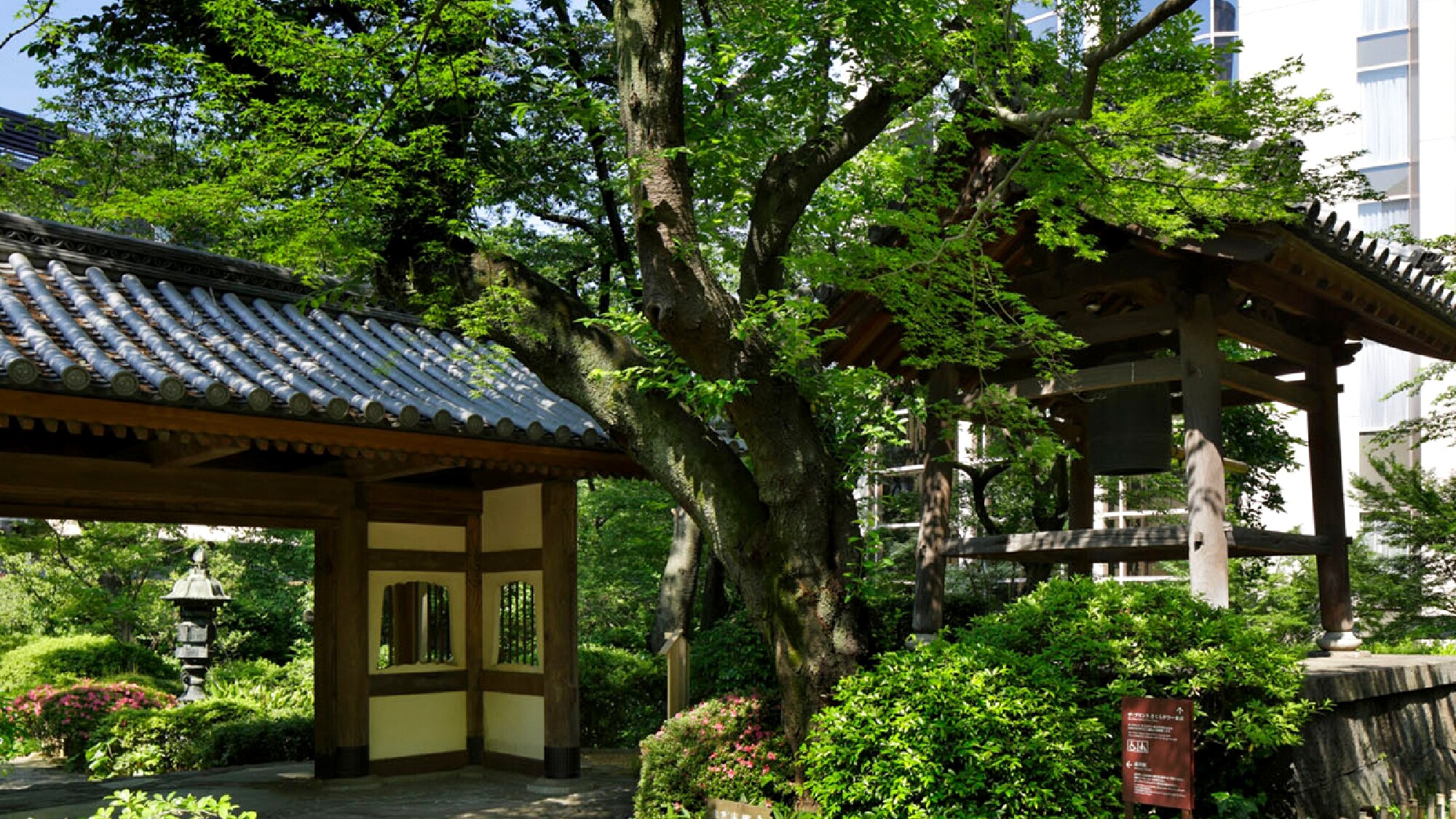 Japanese garden