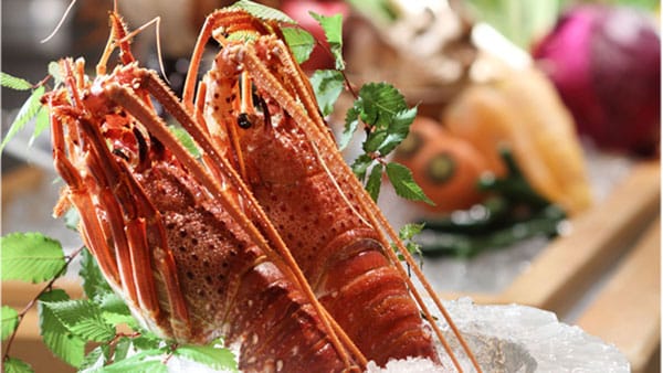 蝦生魚片圖像