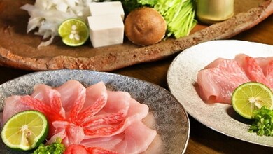 Kế hoạch cá hồng mắt vàng