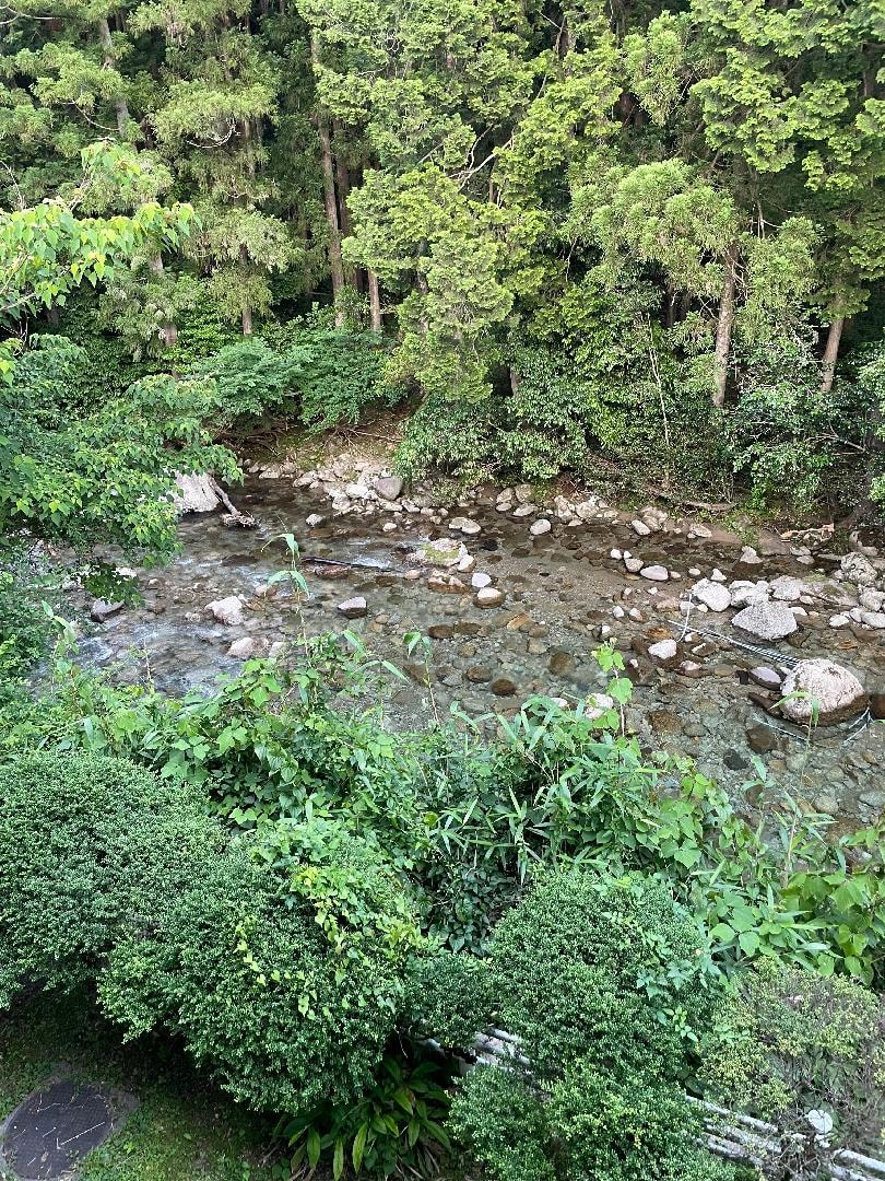 IMG_5666.jpeg
