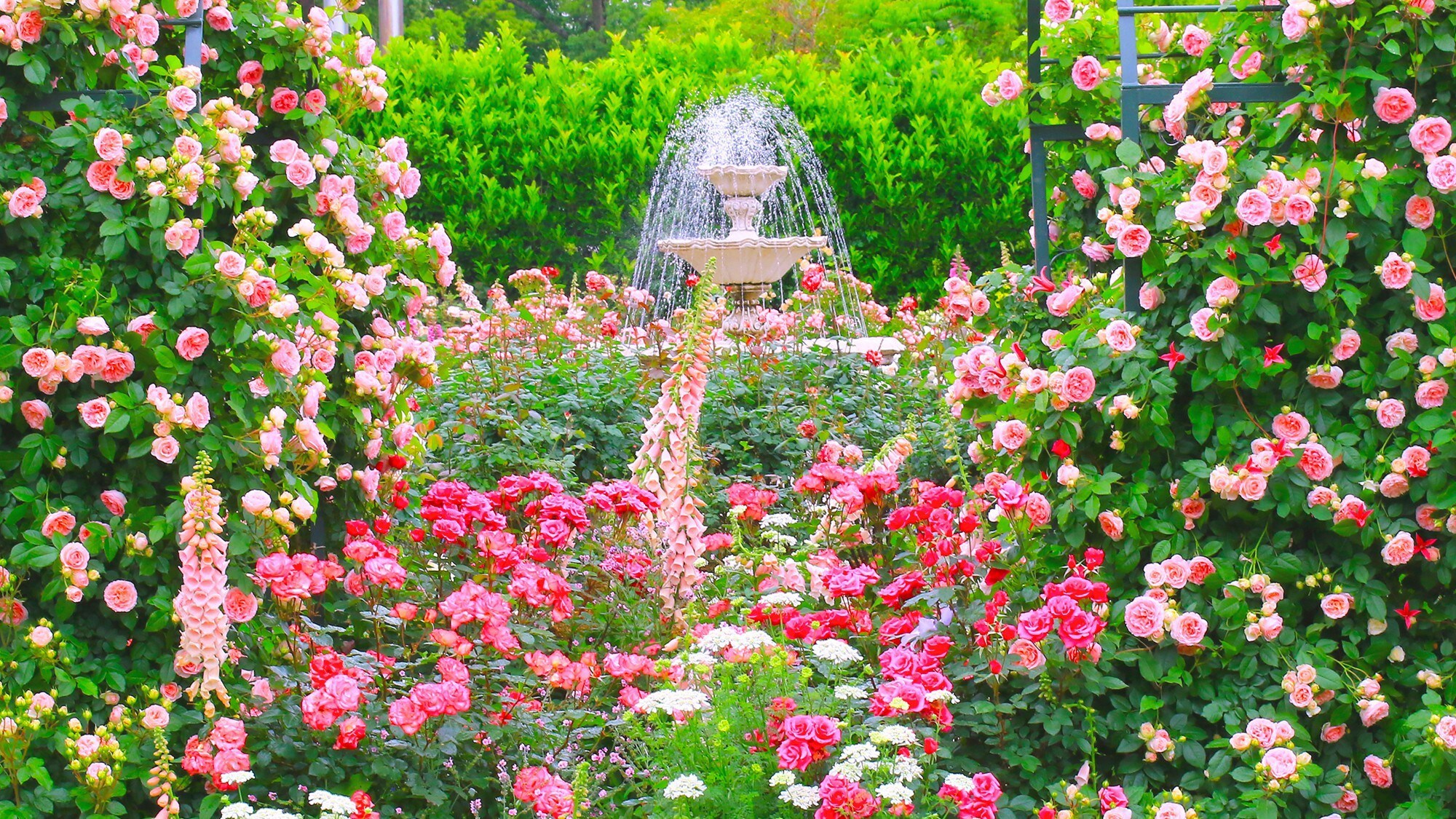 [Hamamatsu Flower Park]