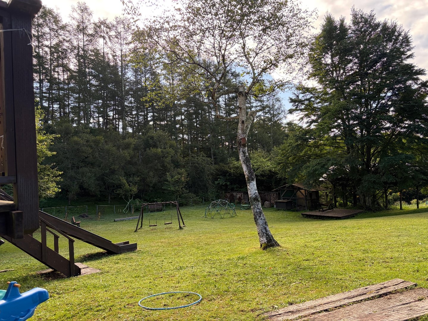 036310D7-45FF-4757-9869-4A003171CC58.jpeg