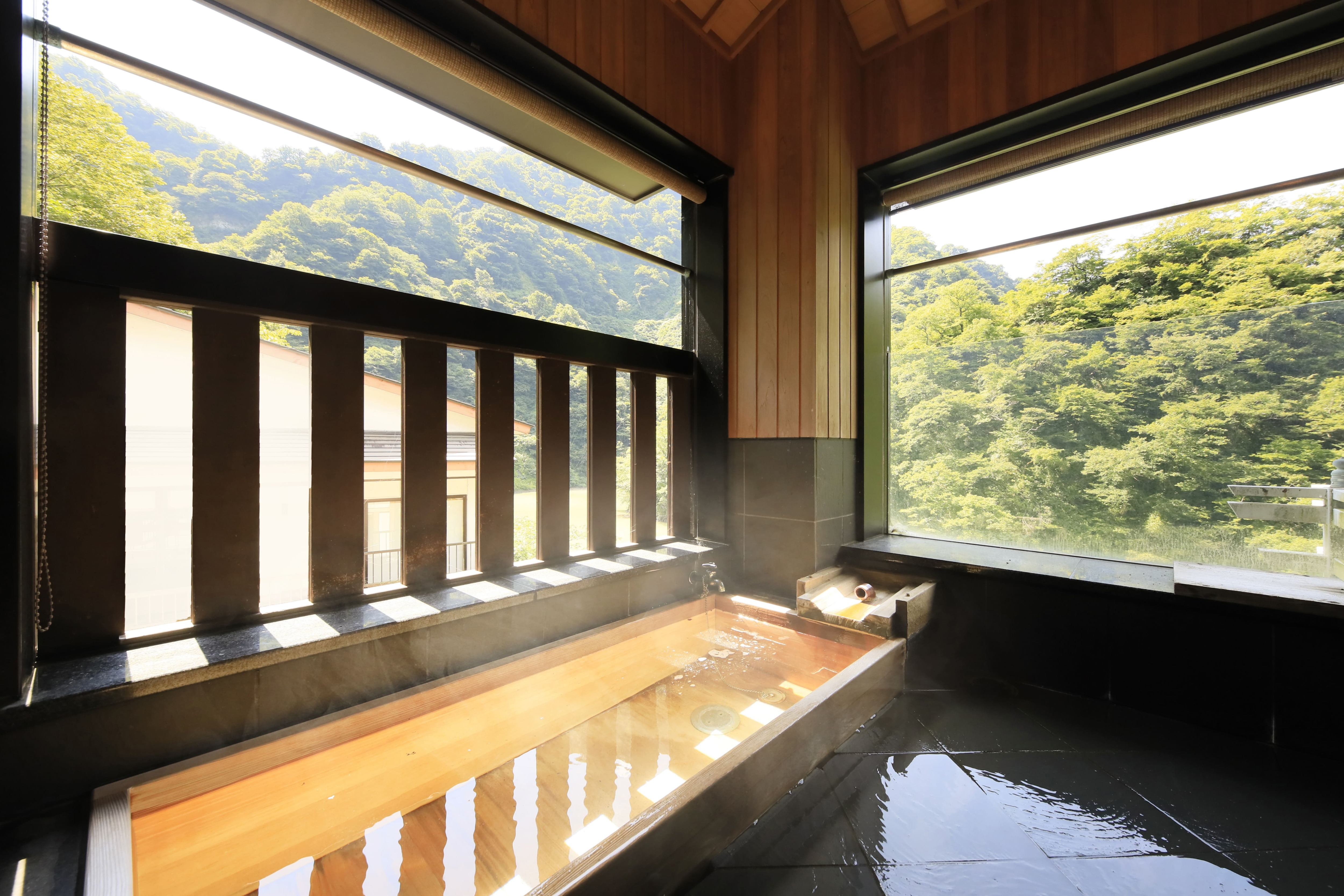Image of an open-air bath