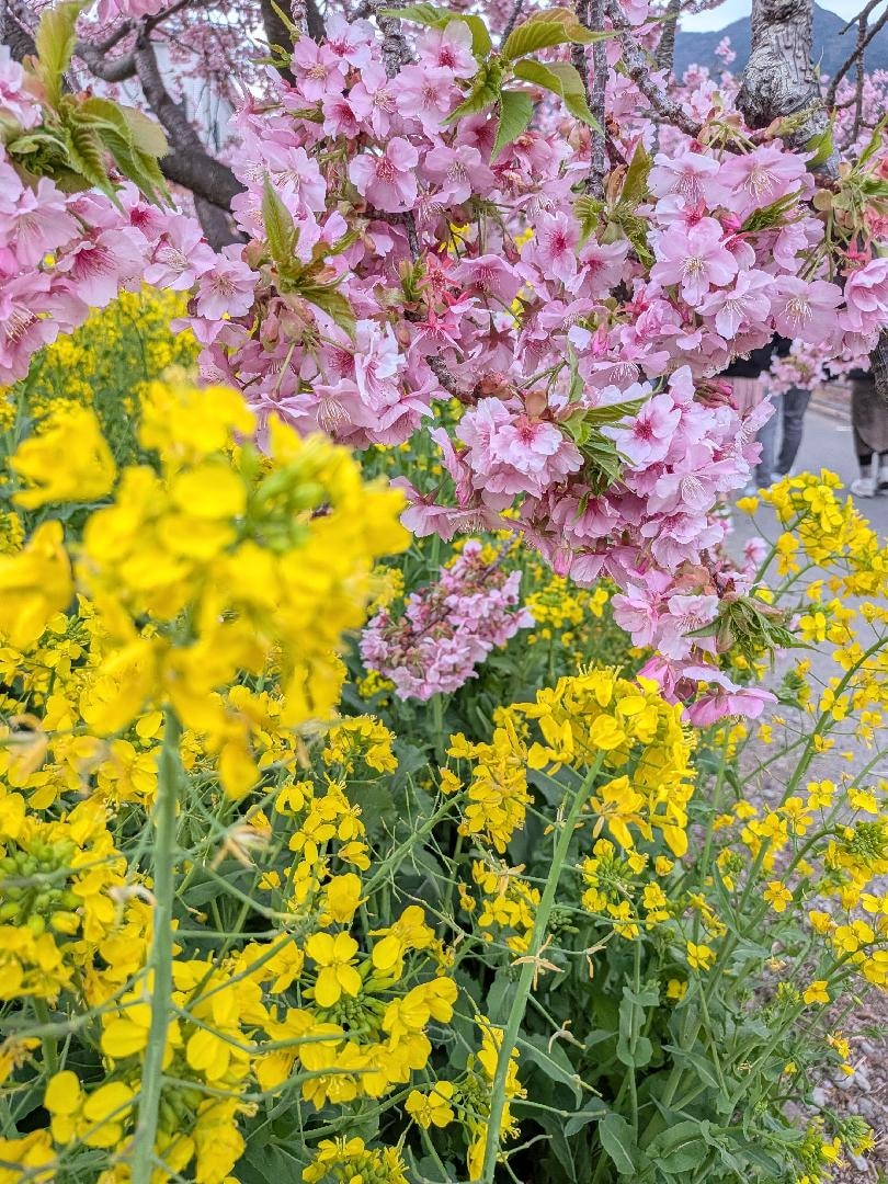 2026-02-22 17.02.53.jpg