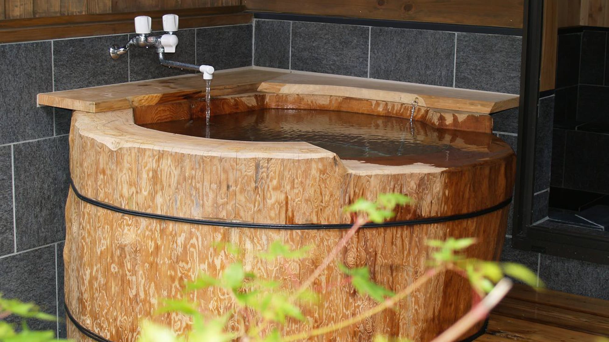 *[Log bath] A bath carved out of a huge Tsuga tree.