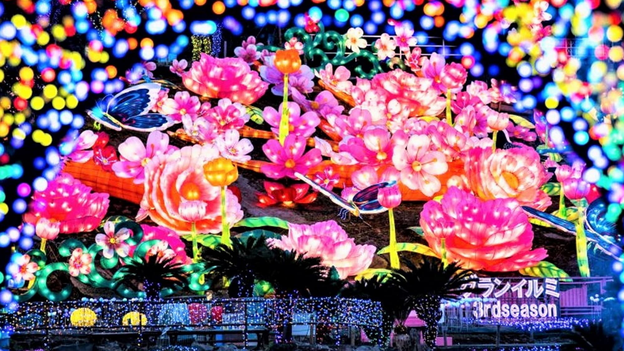 [Grand Illumination] Tận hưởng thế giới ánh sáng kỳ diệu. Mùa thứ 6 hiện đang được tiến hành!