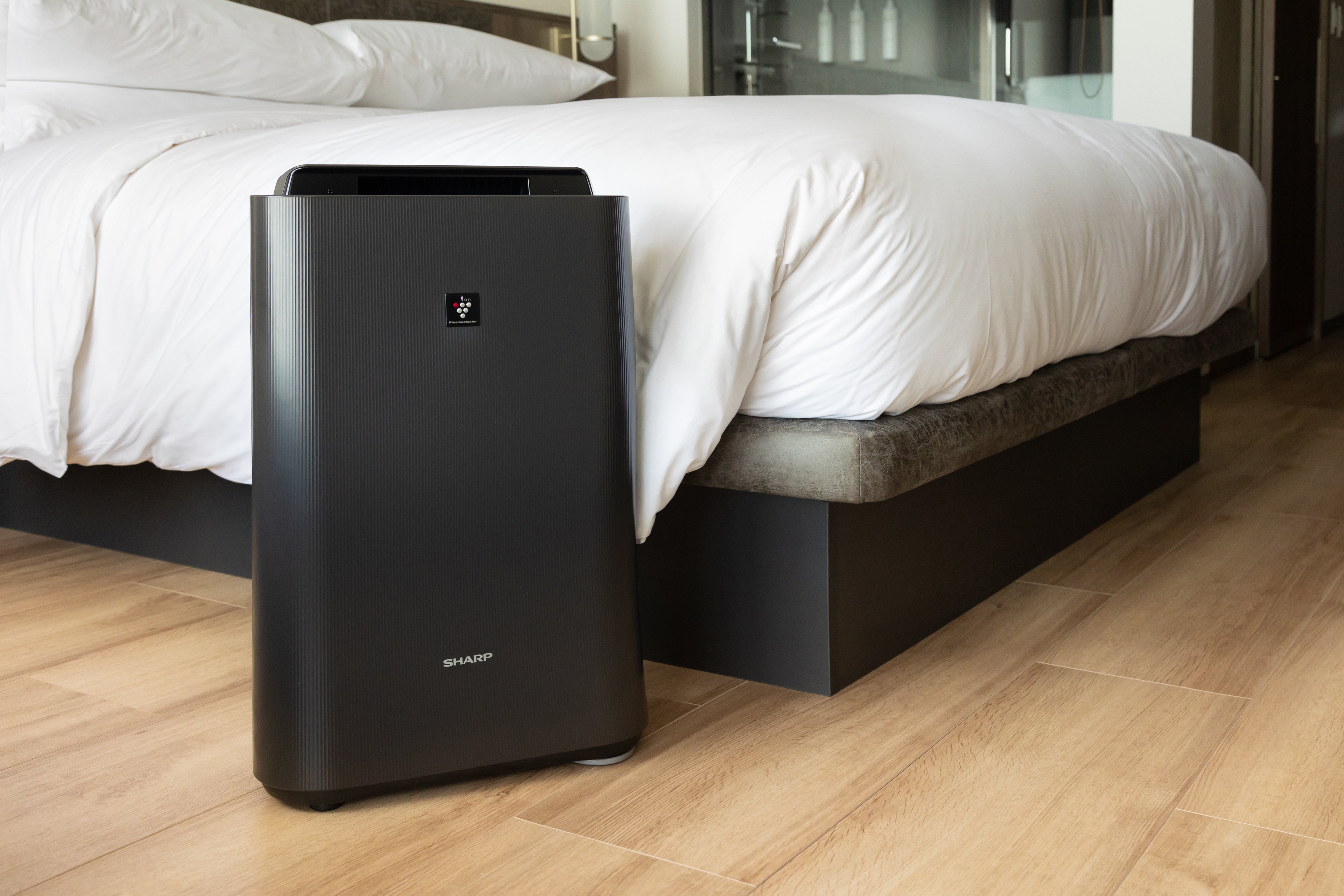 Air purifier with humidifier function