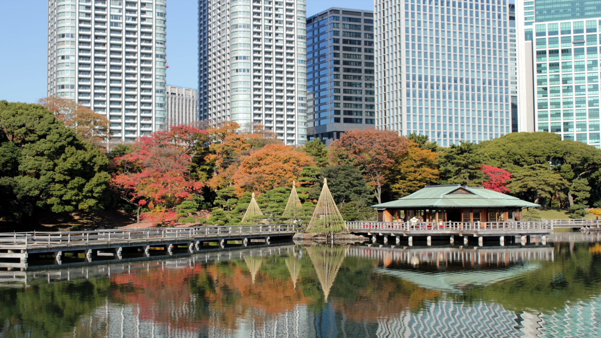 [Nearby attractions] Hamarikyu Gardens