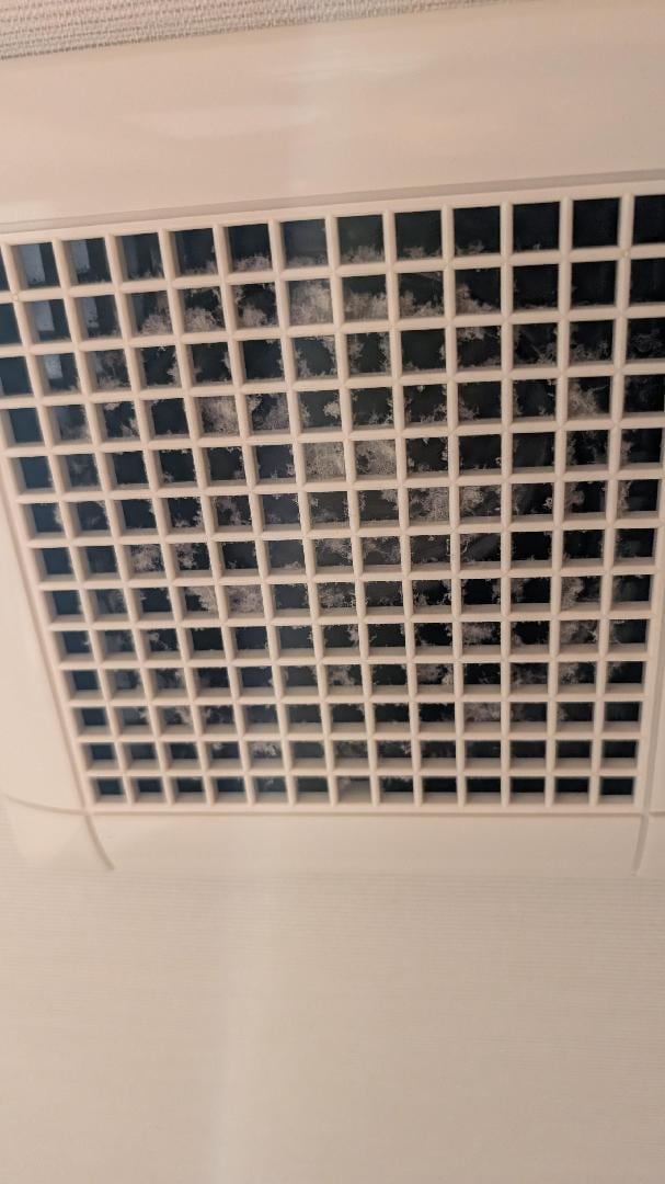 1000002730.jpg