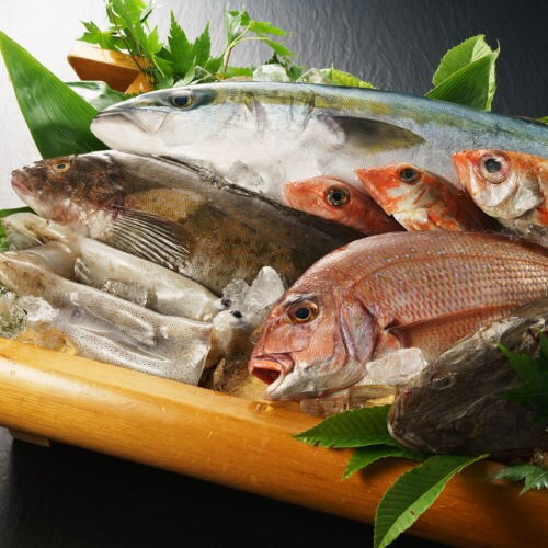 Fresh fish