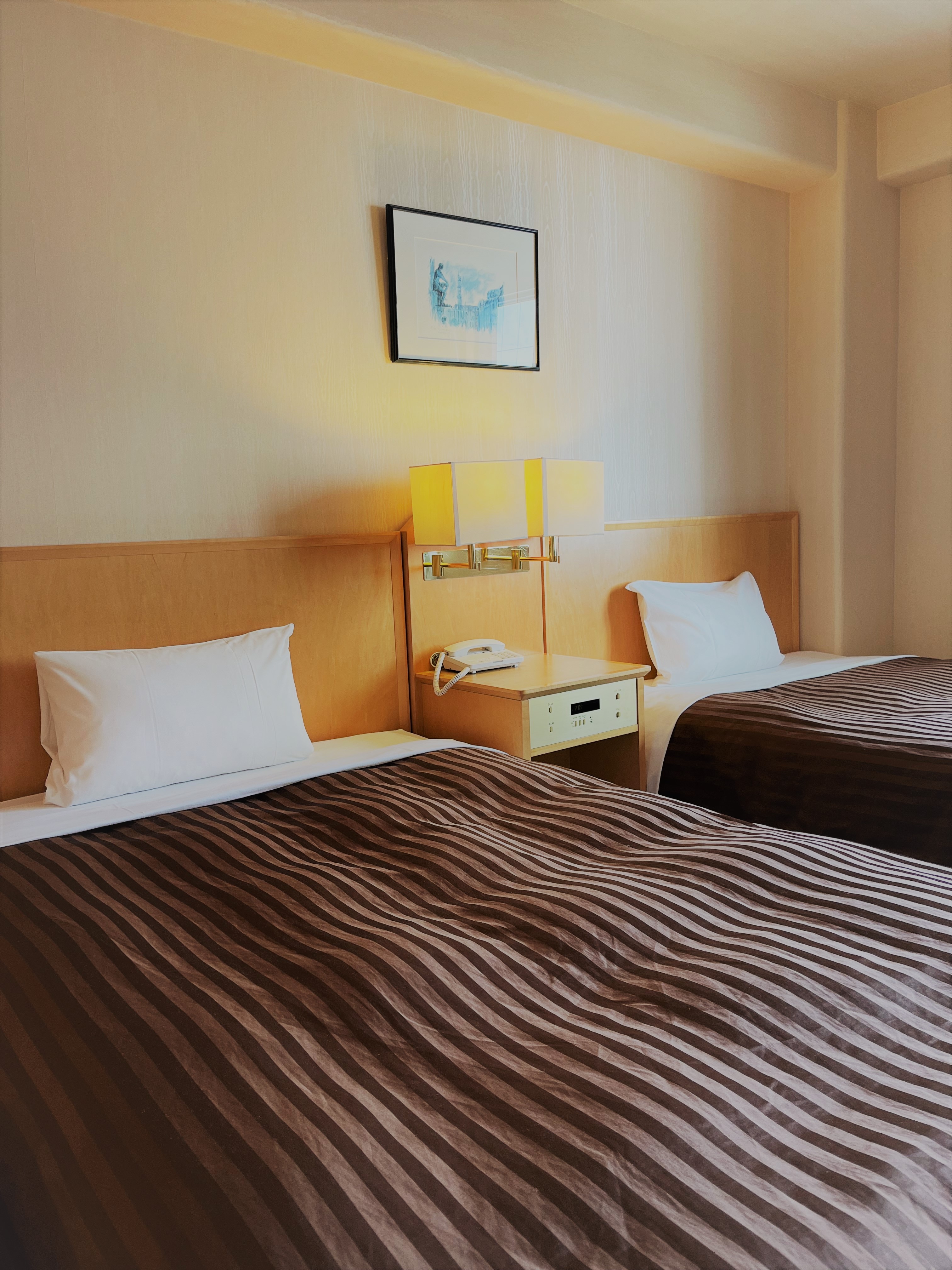 Deluxe Twin Room 05