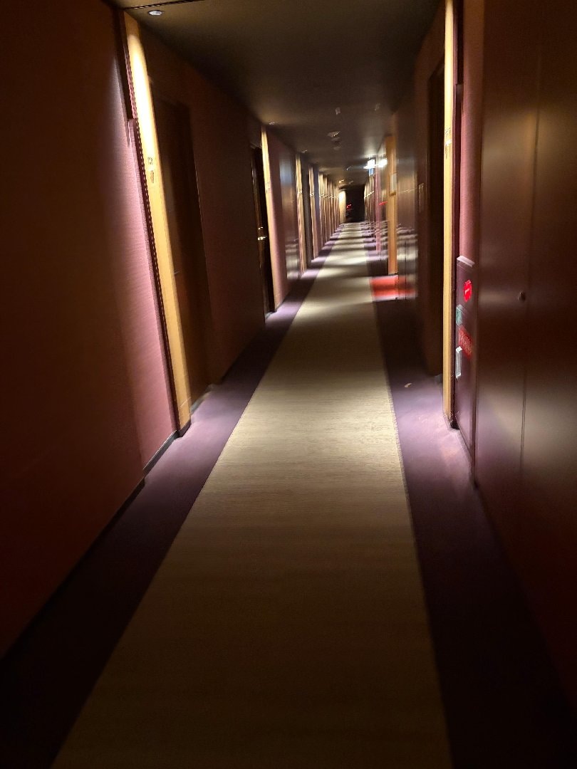 A832612E-0527-4442-9439-358D87331F3B.jpeg