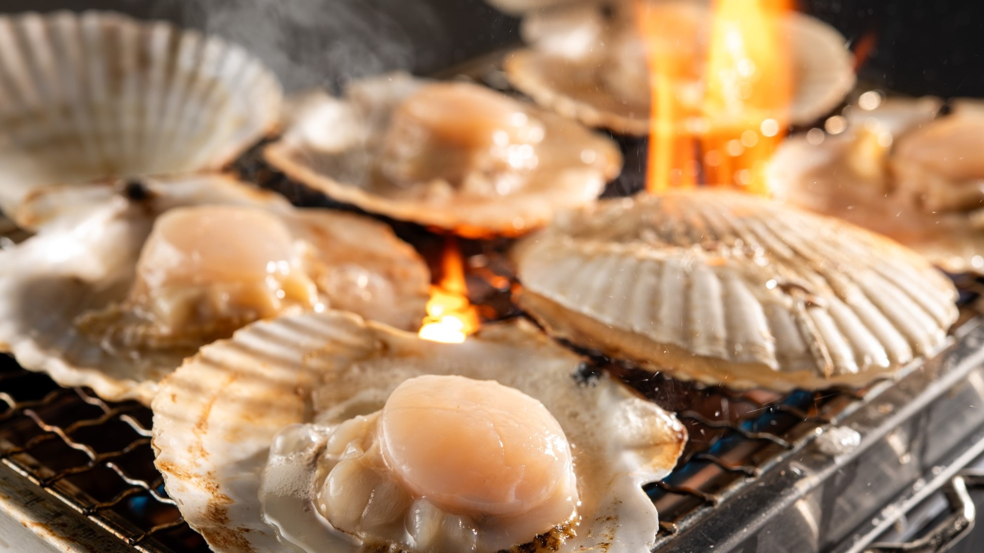 濱燒圖像（扇貝）