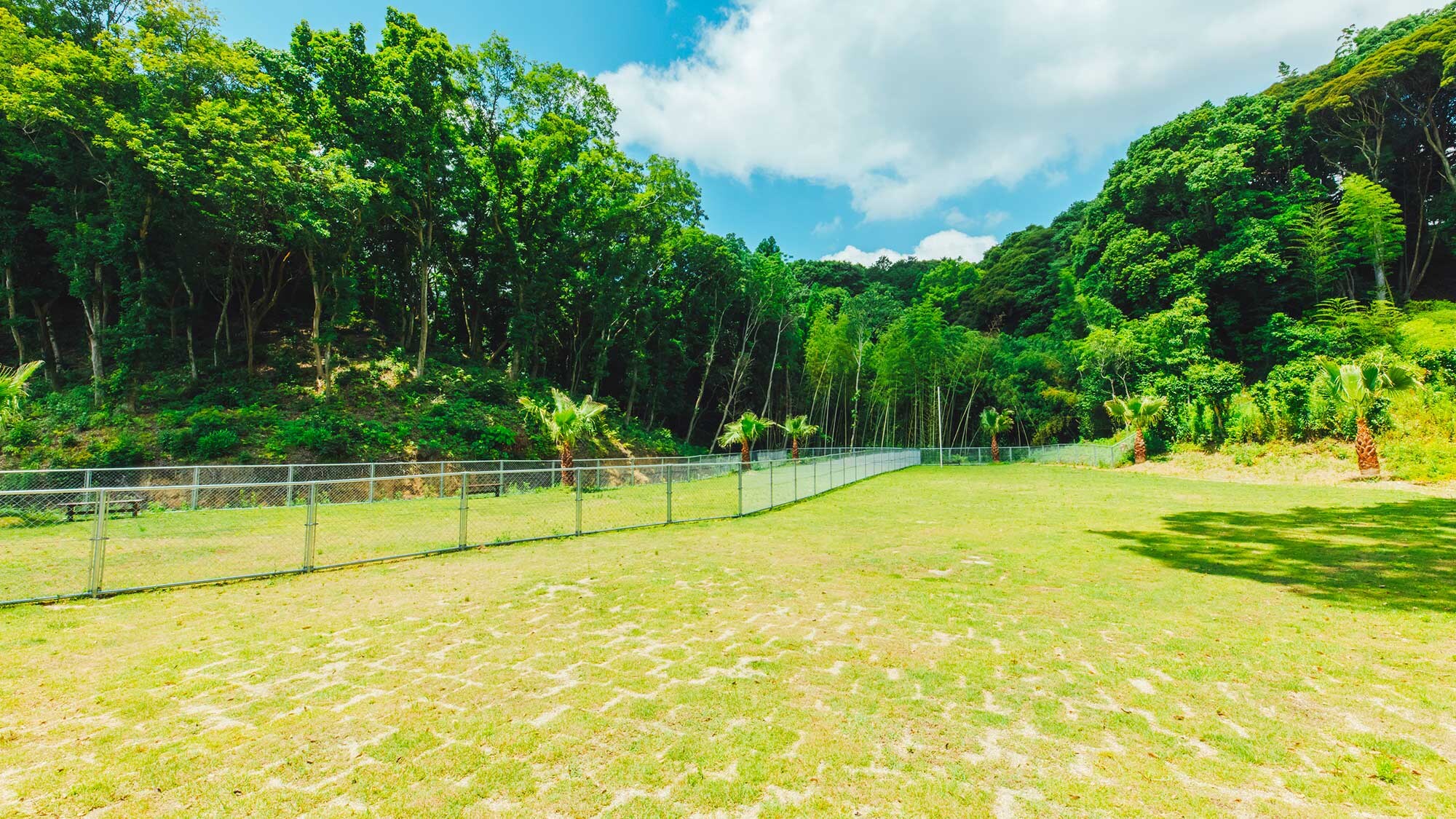[Dog run] The largest in northern Kyushu at 1,000 square meters, equipped with a natural grass dog run! Even large dogs can run around freely.